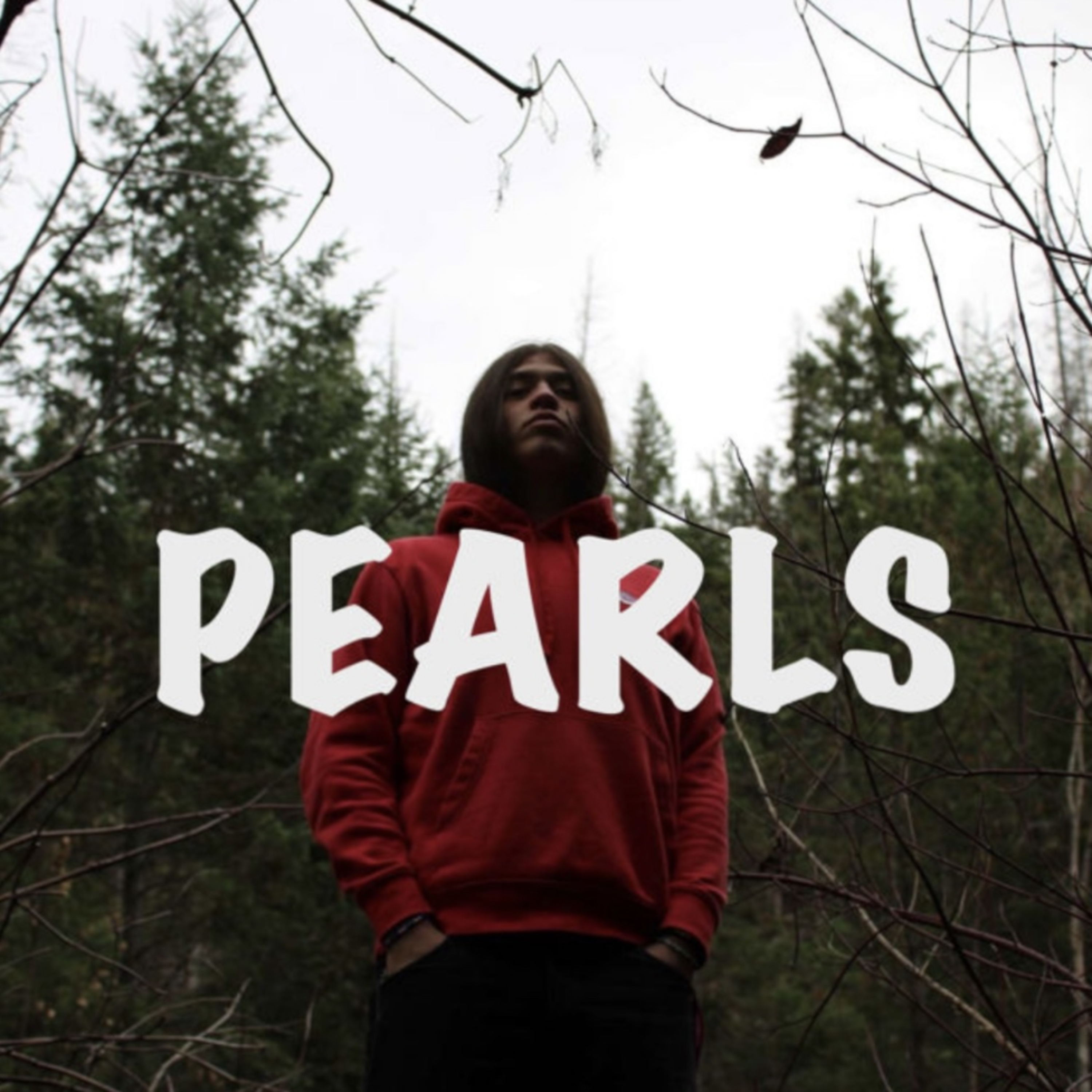 PEARLS artwork