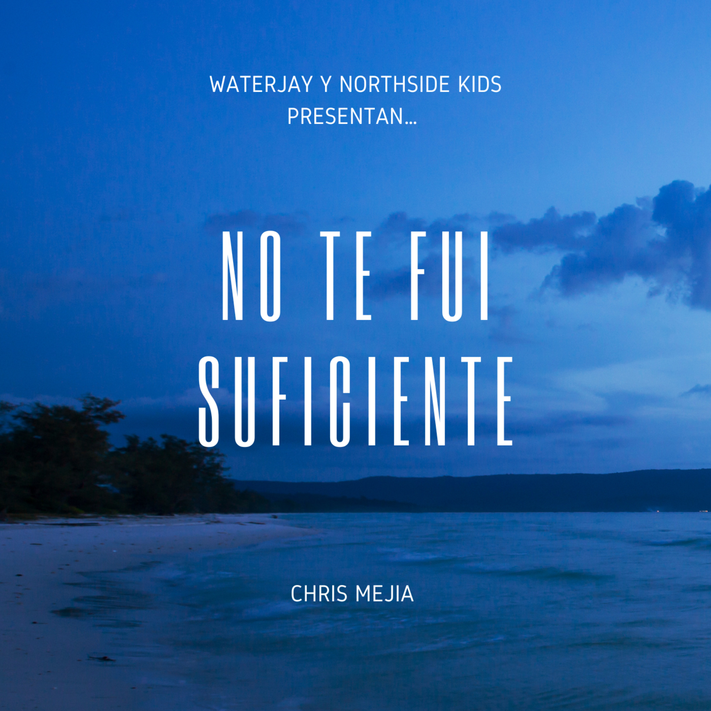 No Te Fui Suficiente artwork