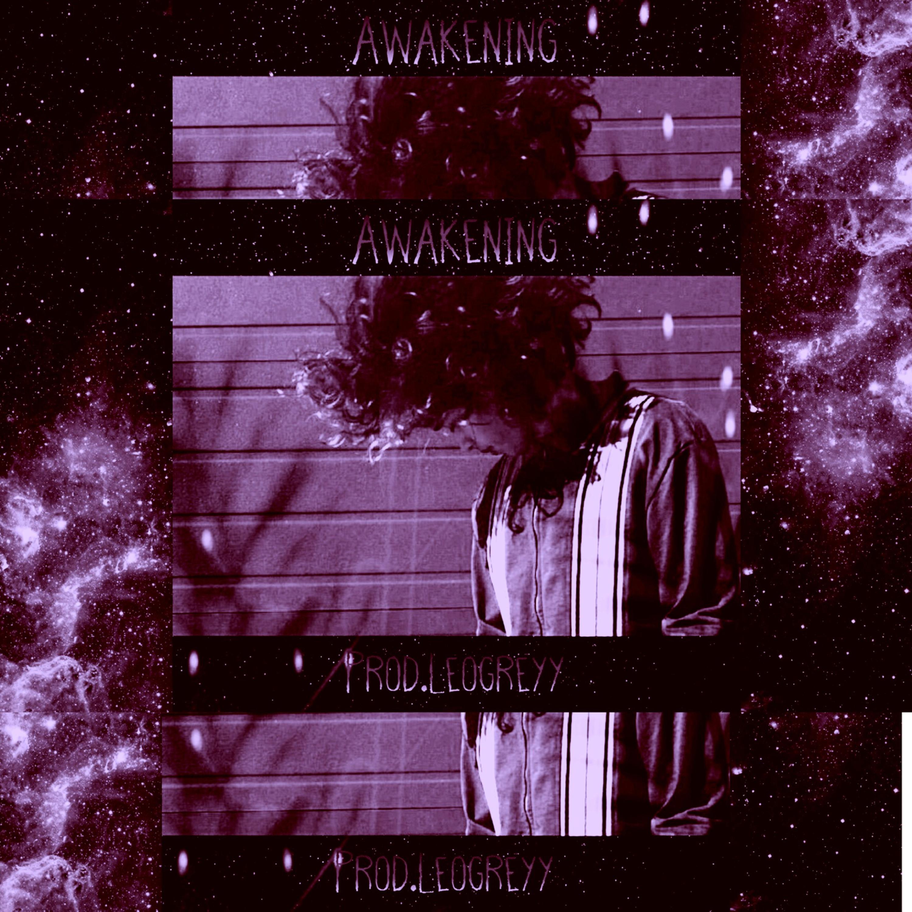 Awakening (Instrumentals) artwork