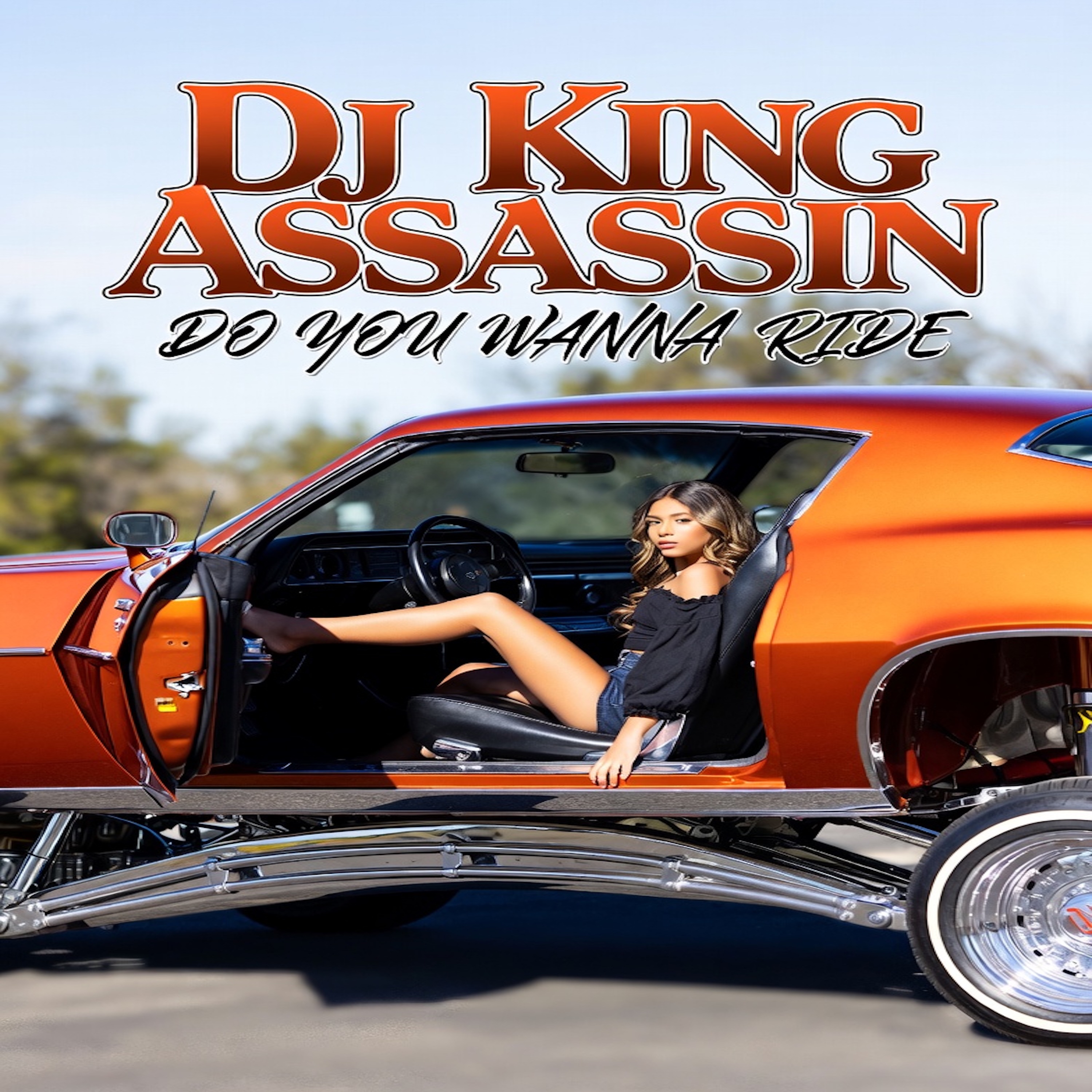 Do You Wanna Ride artwork
