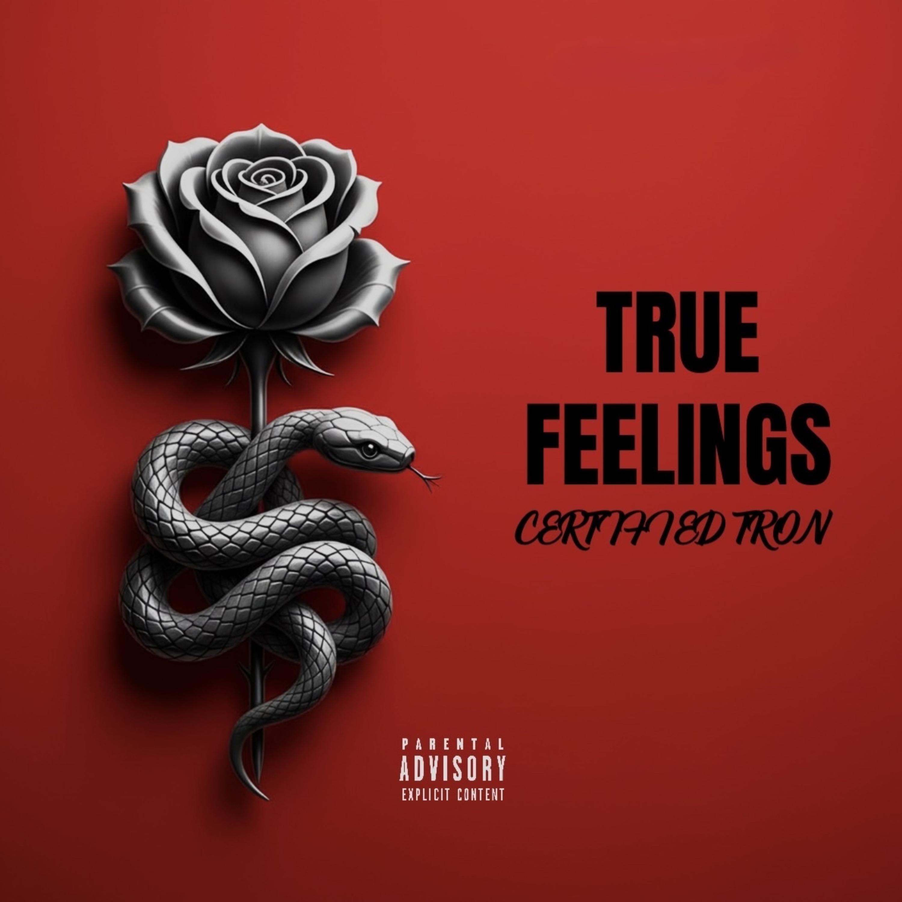 TRUE FEELINGS artwork
