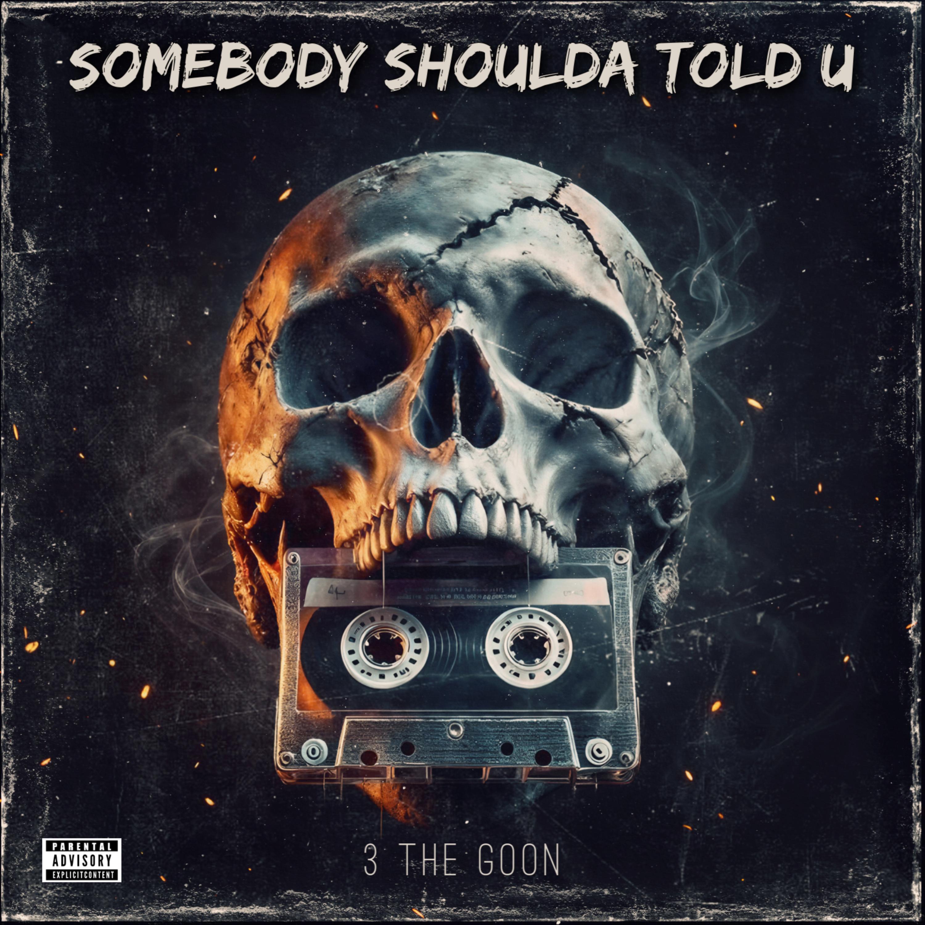 Somebody Shoulda Told U artwork