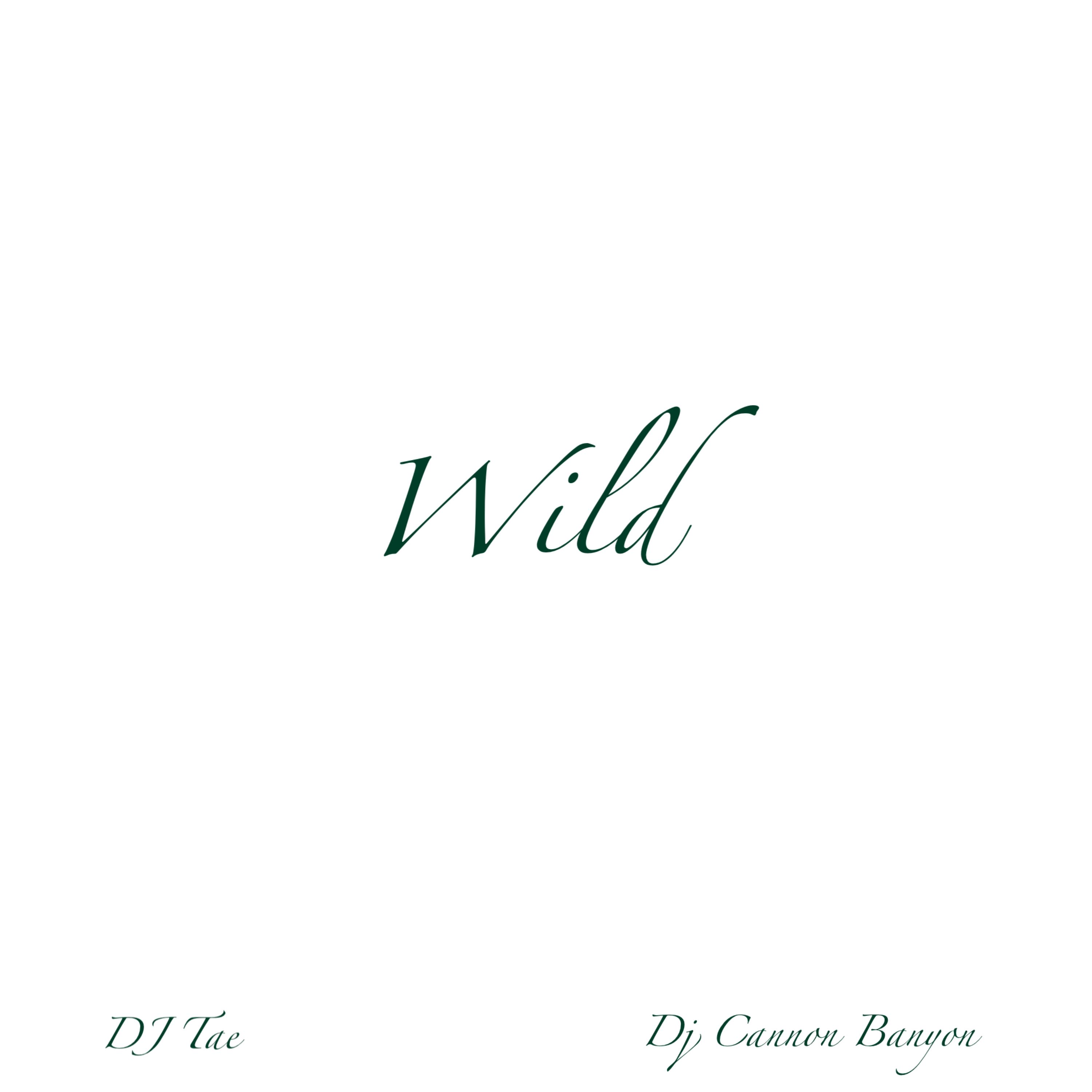 Wild artwork