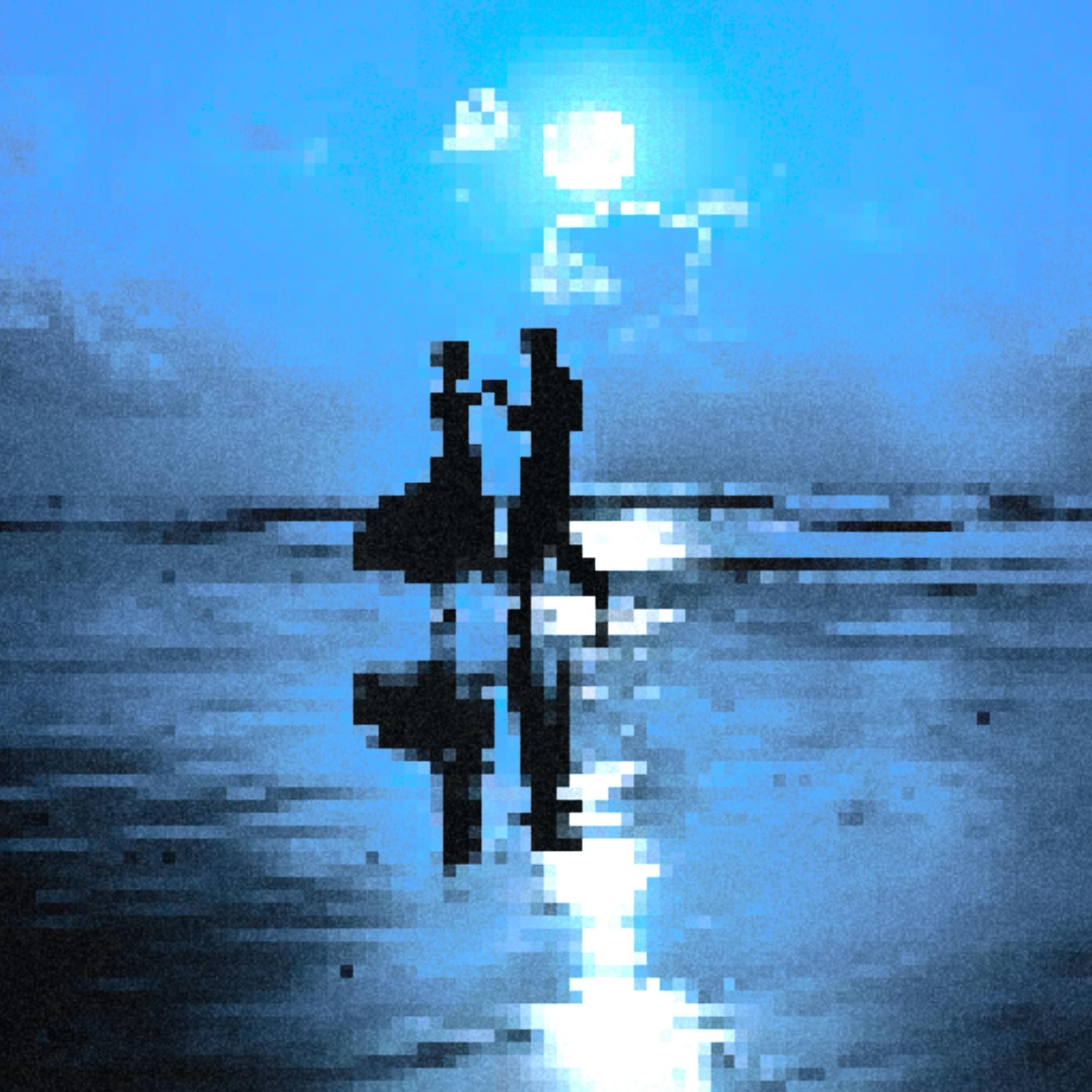 Bonita artwork