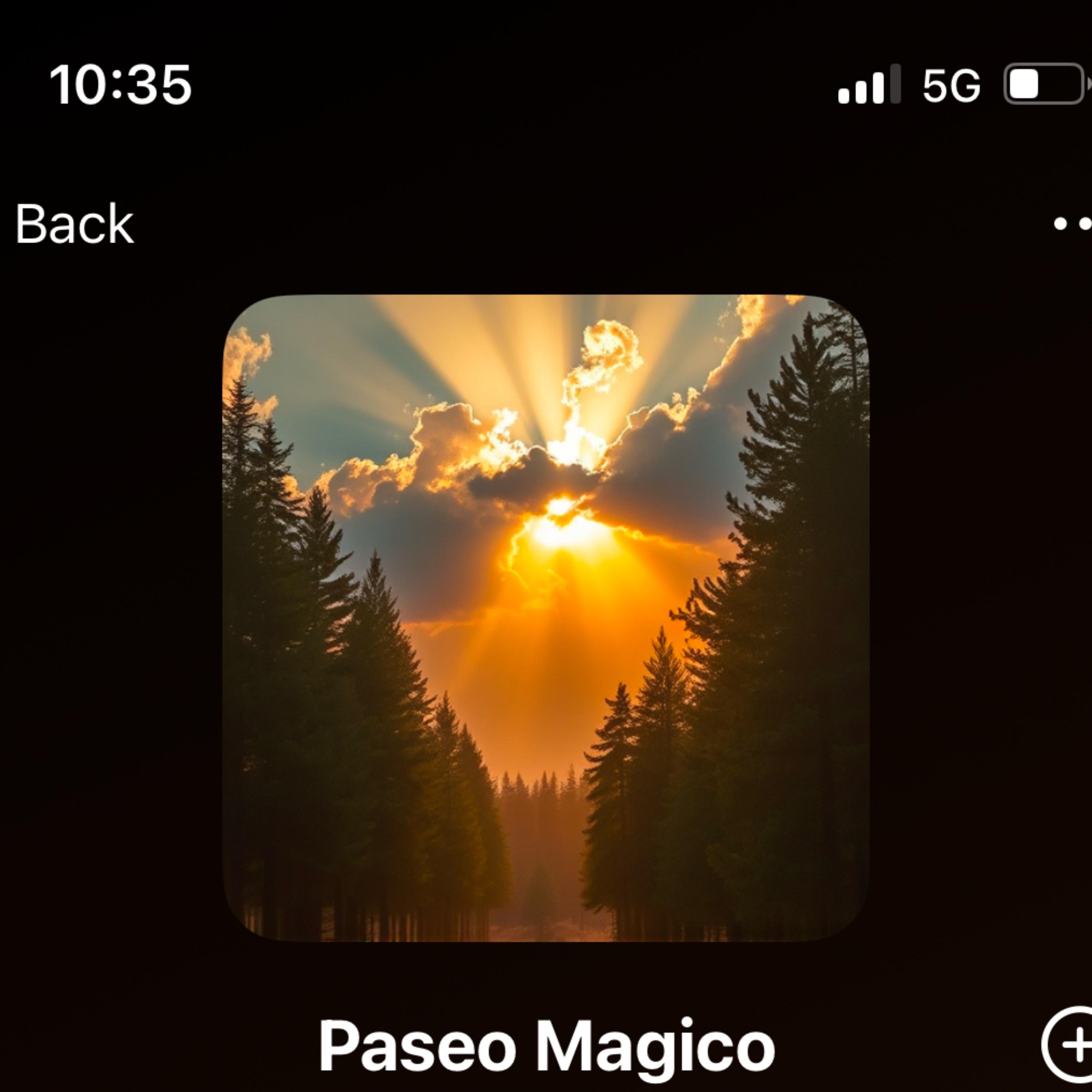 Paseo Magico artwork