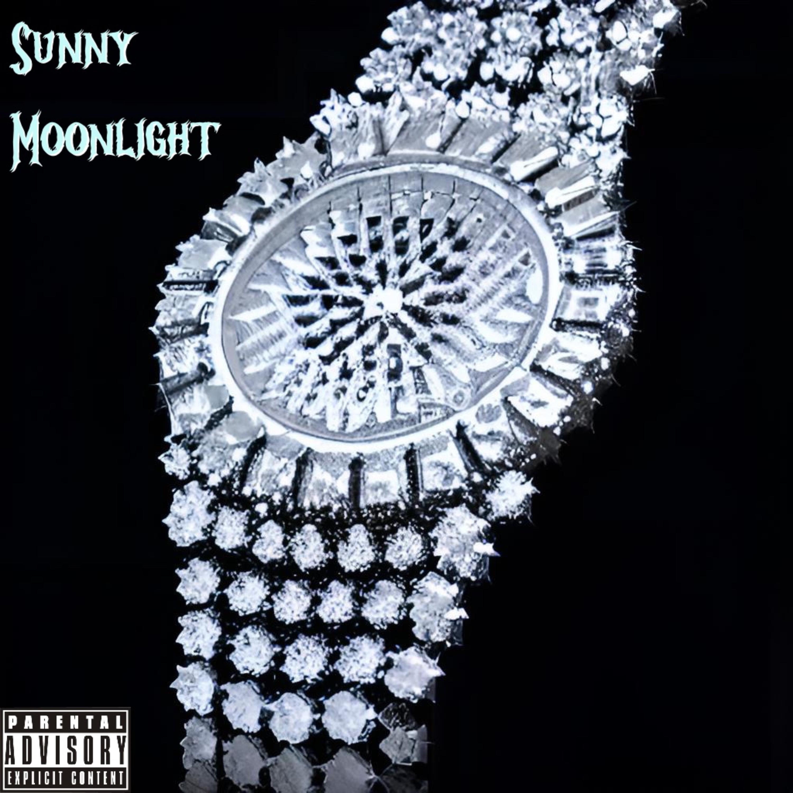 Sunny Moonlight artwork
