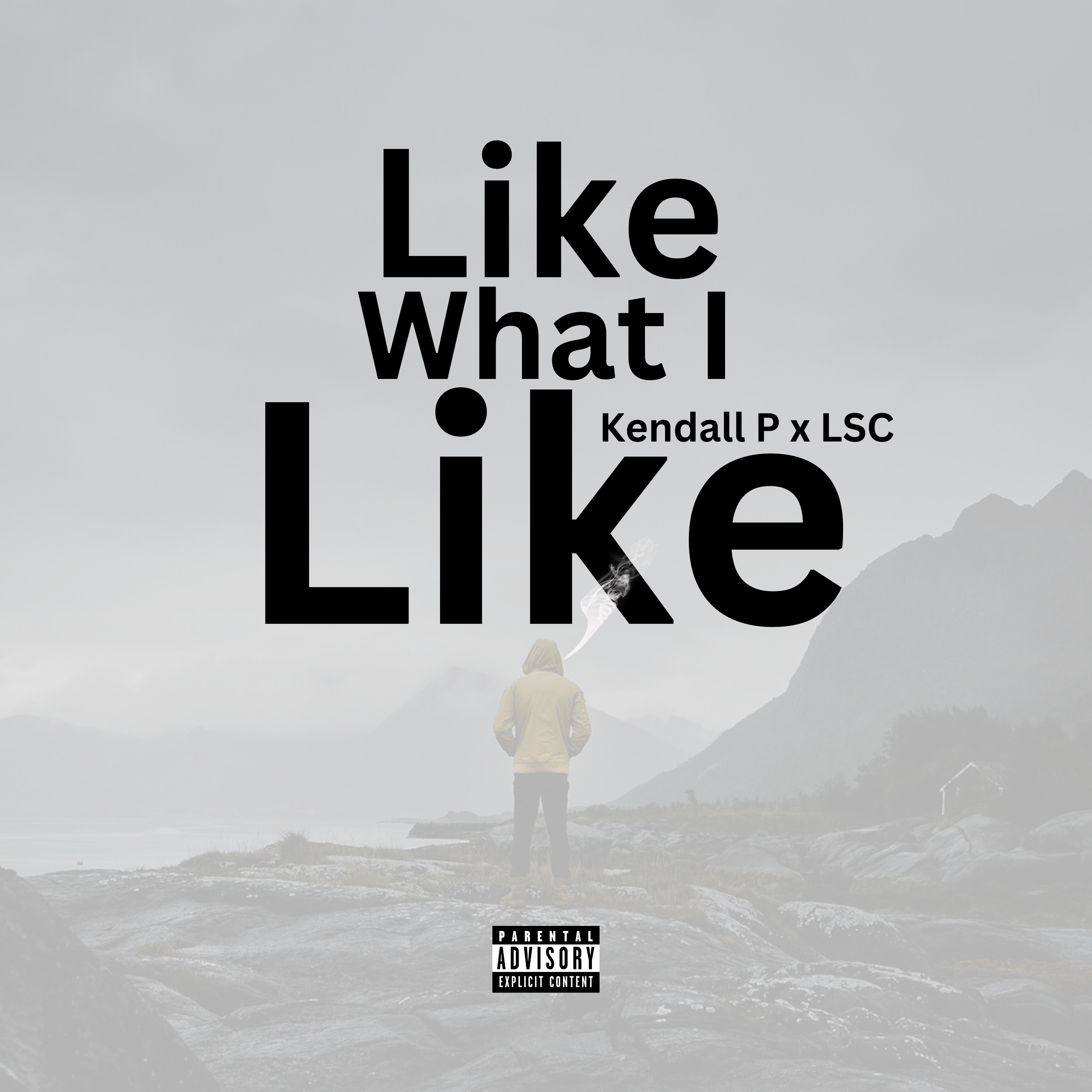 Like What I Like artwork