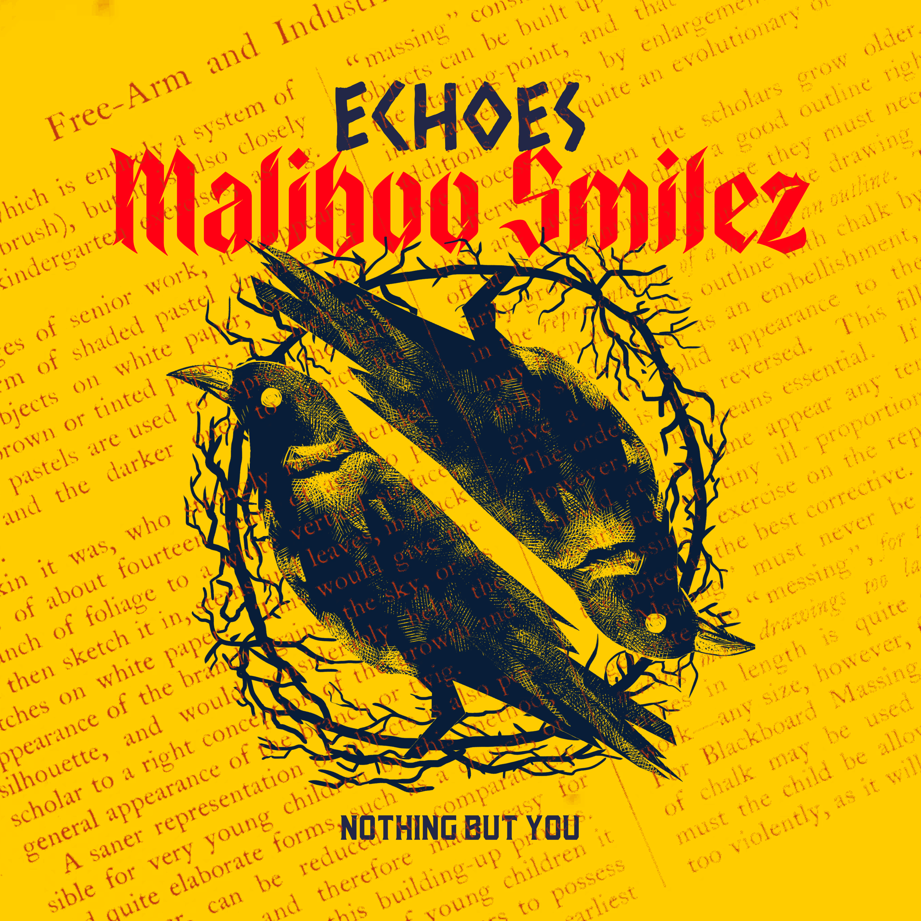 Echoes by MalibooSmiley cover art