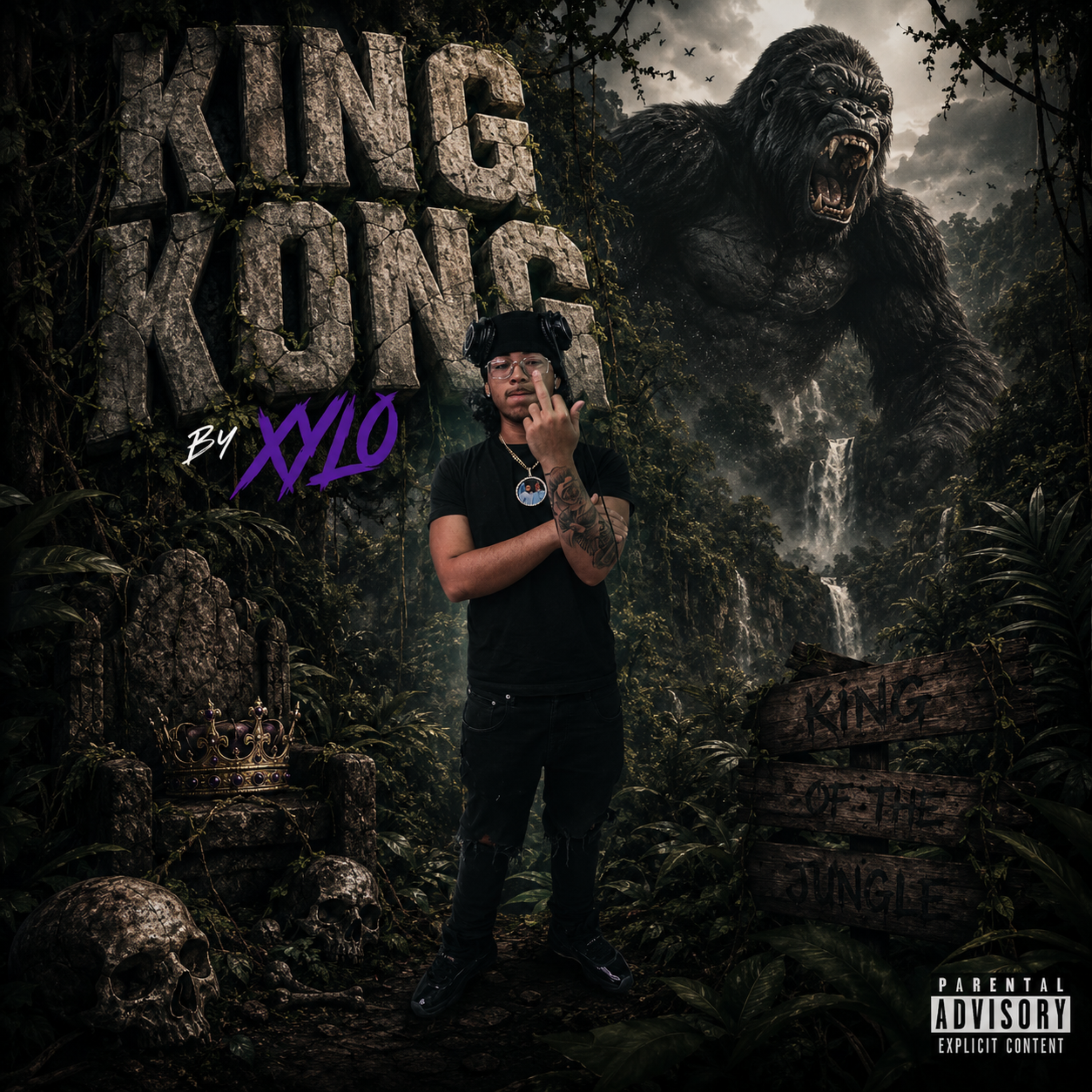 King King by XyloG cover art
