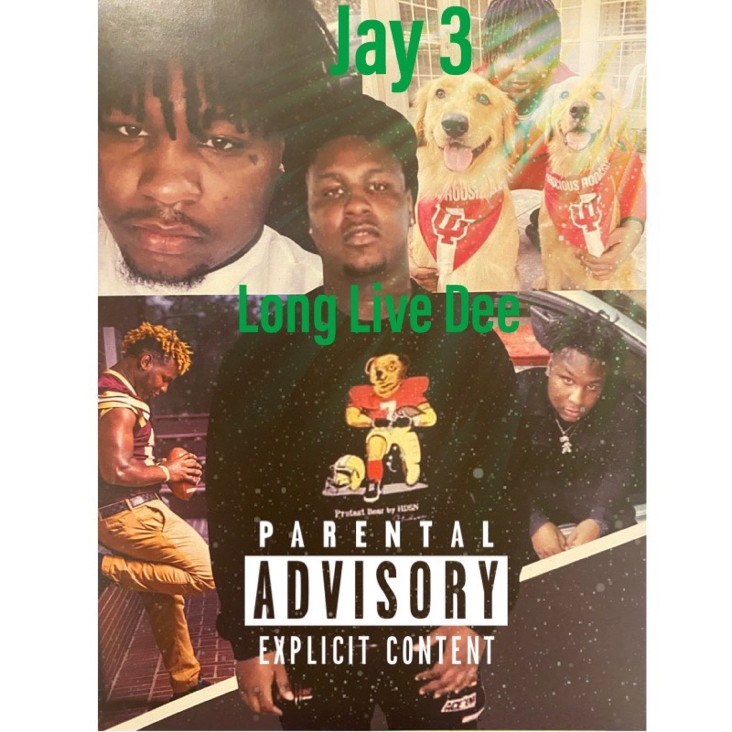 Long Live Dee artwork