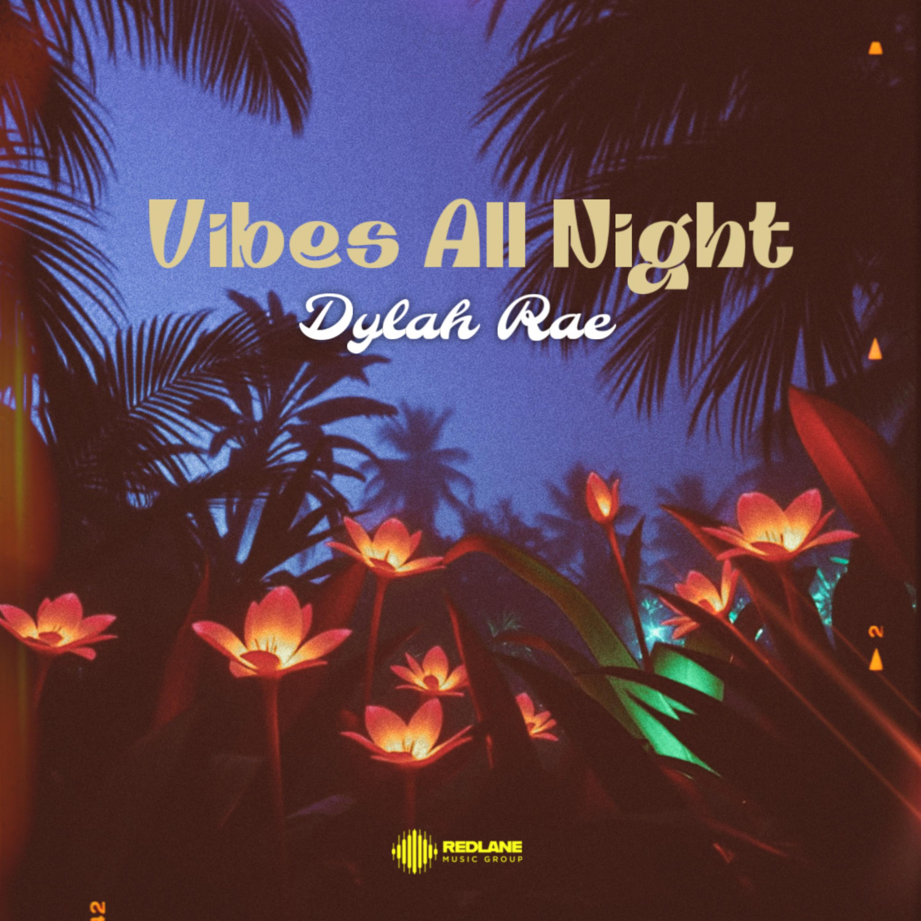 Vibes All Night artwork