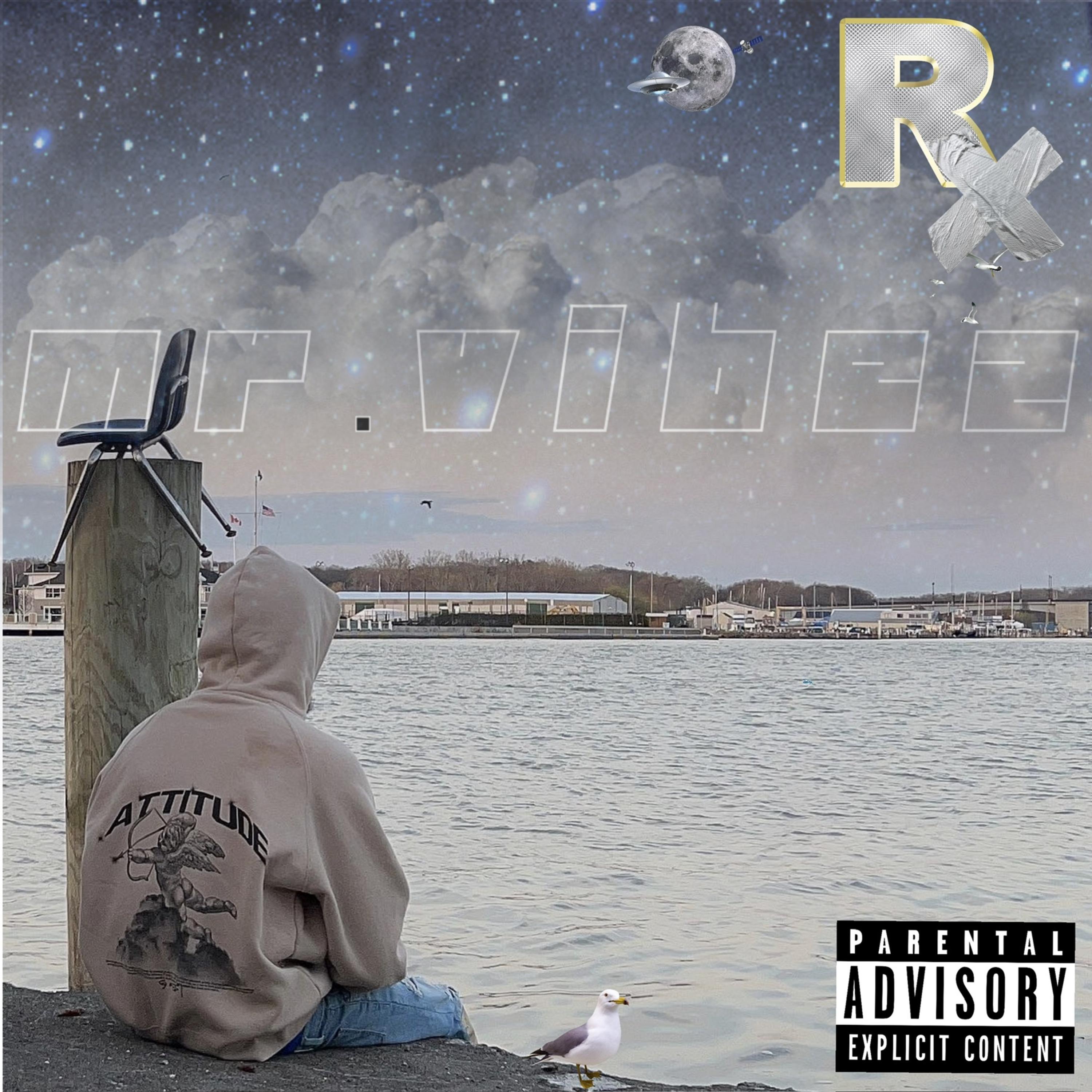 Mr. Vibez artwork