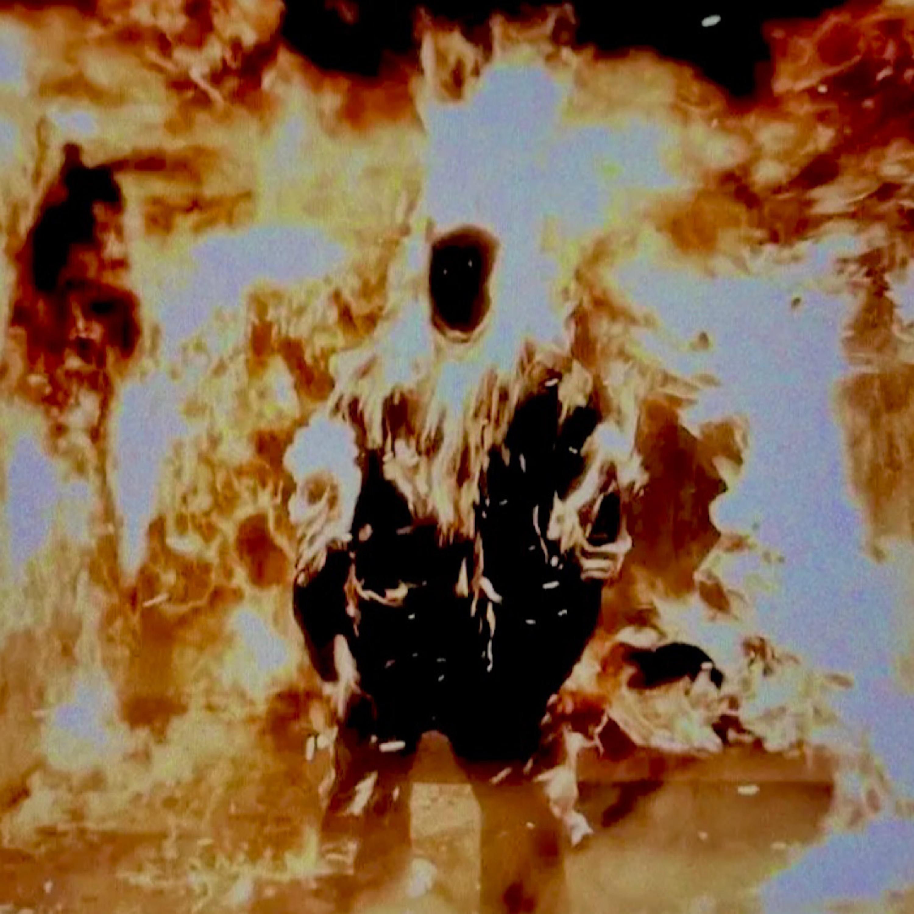 LICENSED 2 RAGE artwork