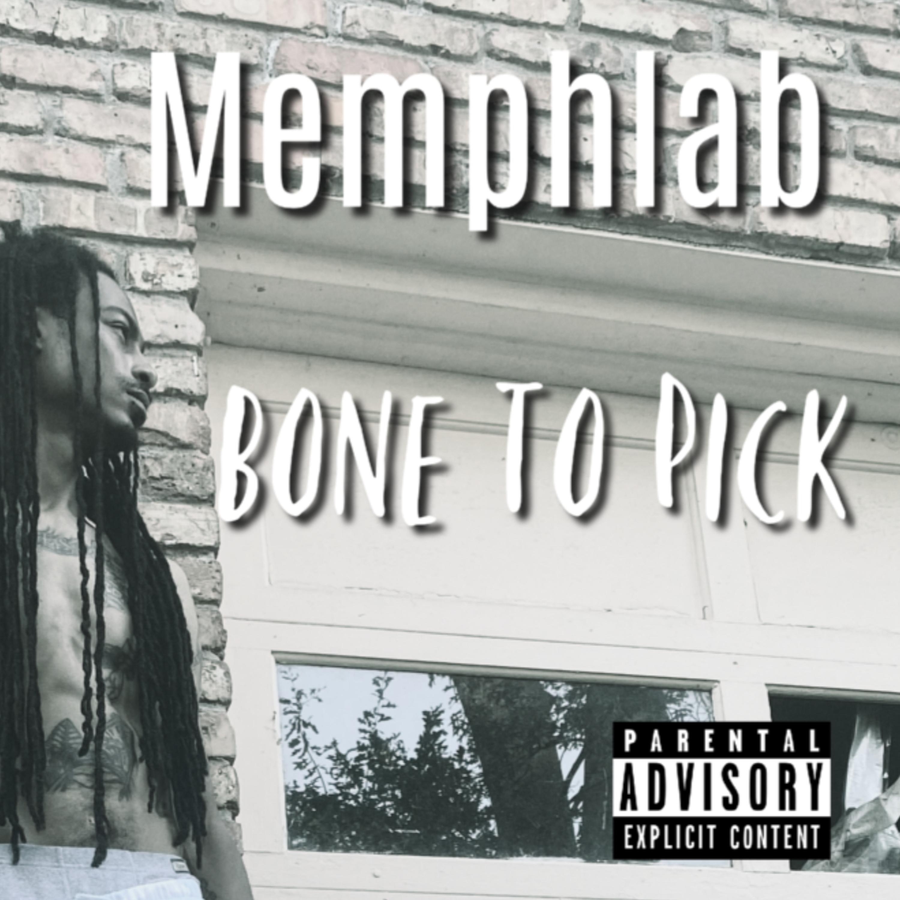 Bone To Pick artwork