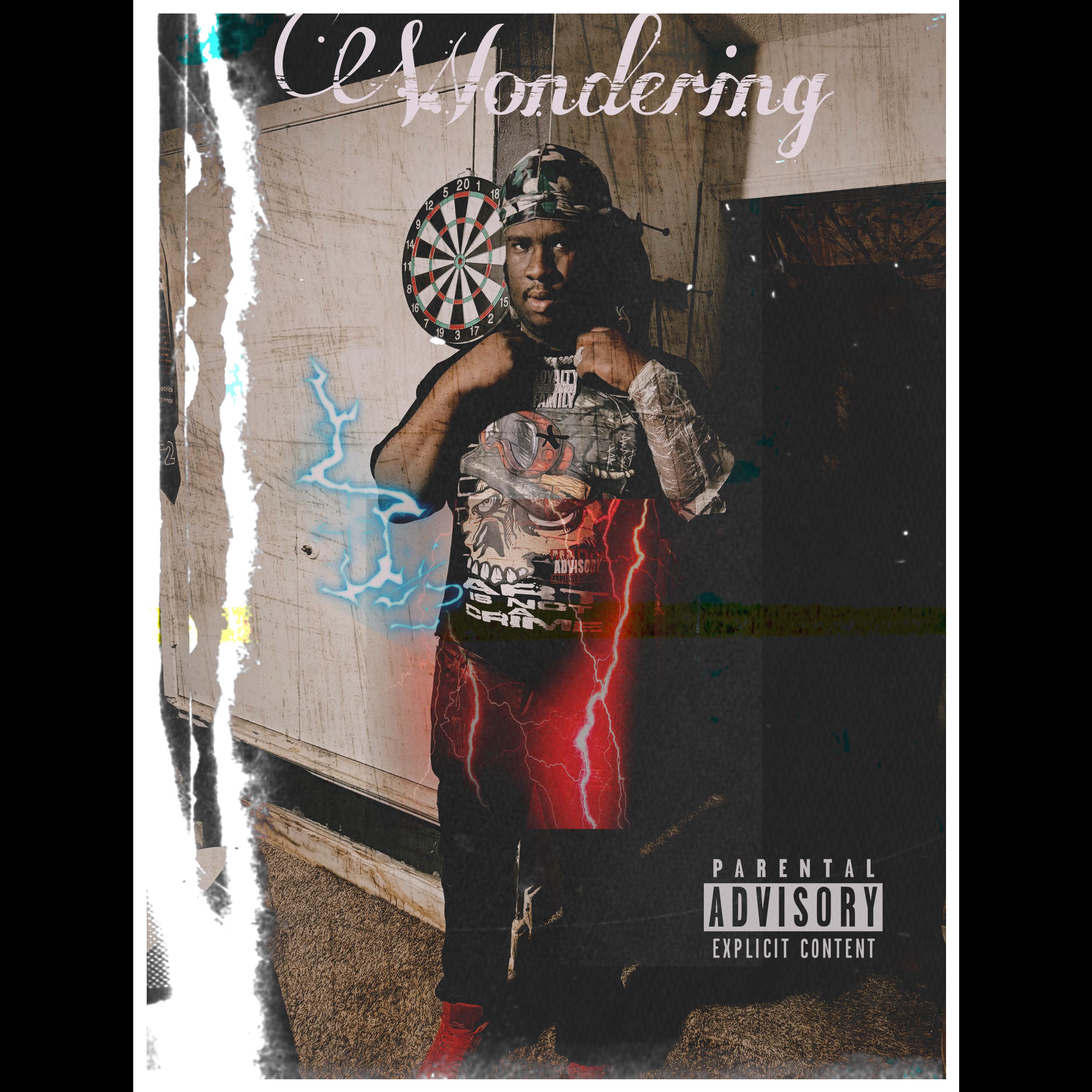 Wondering artwork
