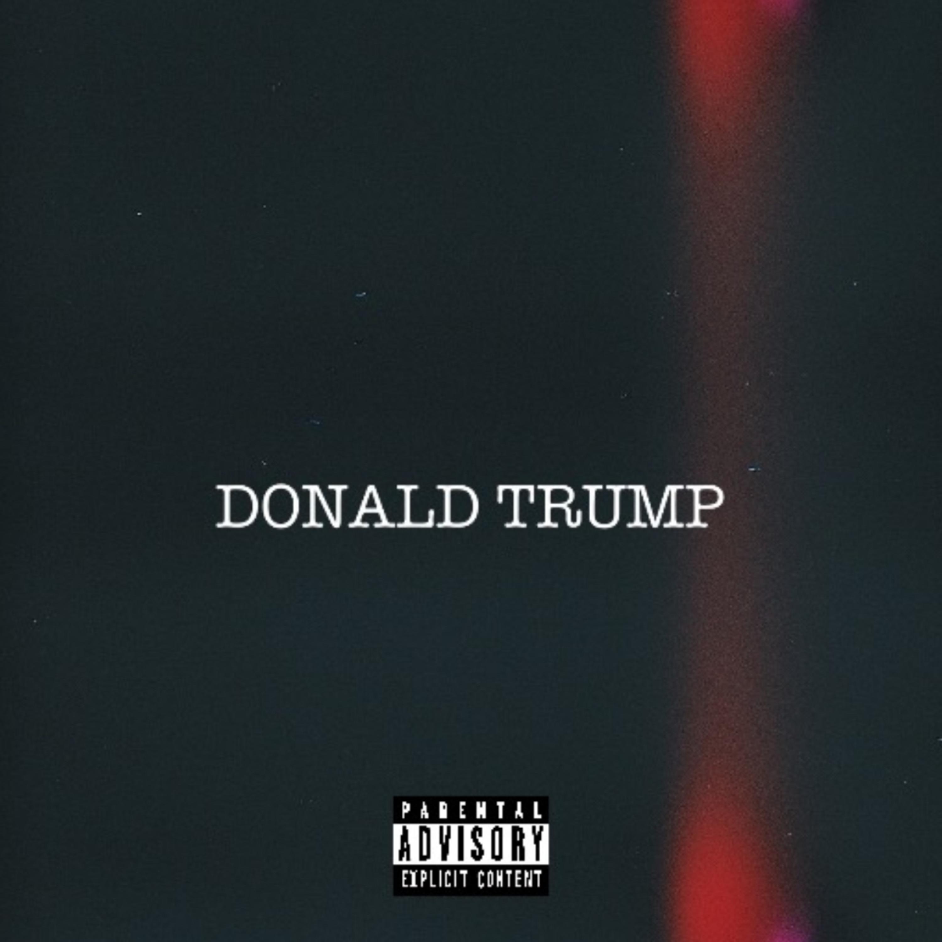 Donald Trump artwork