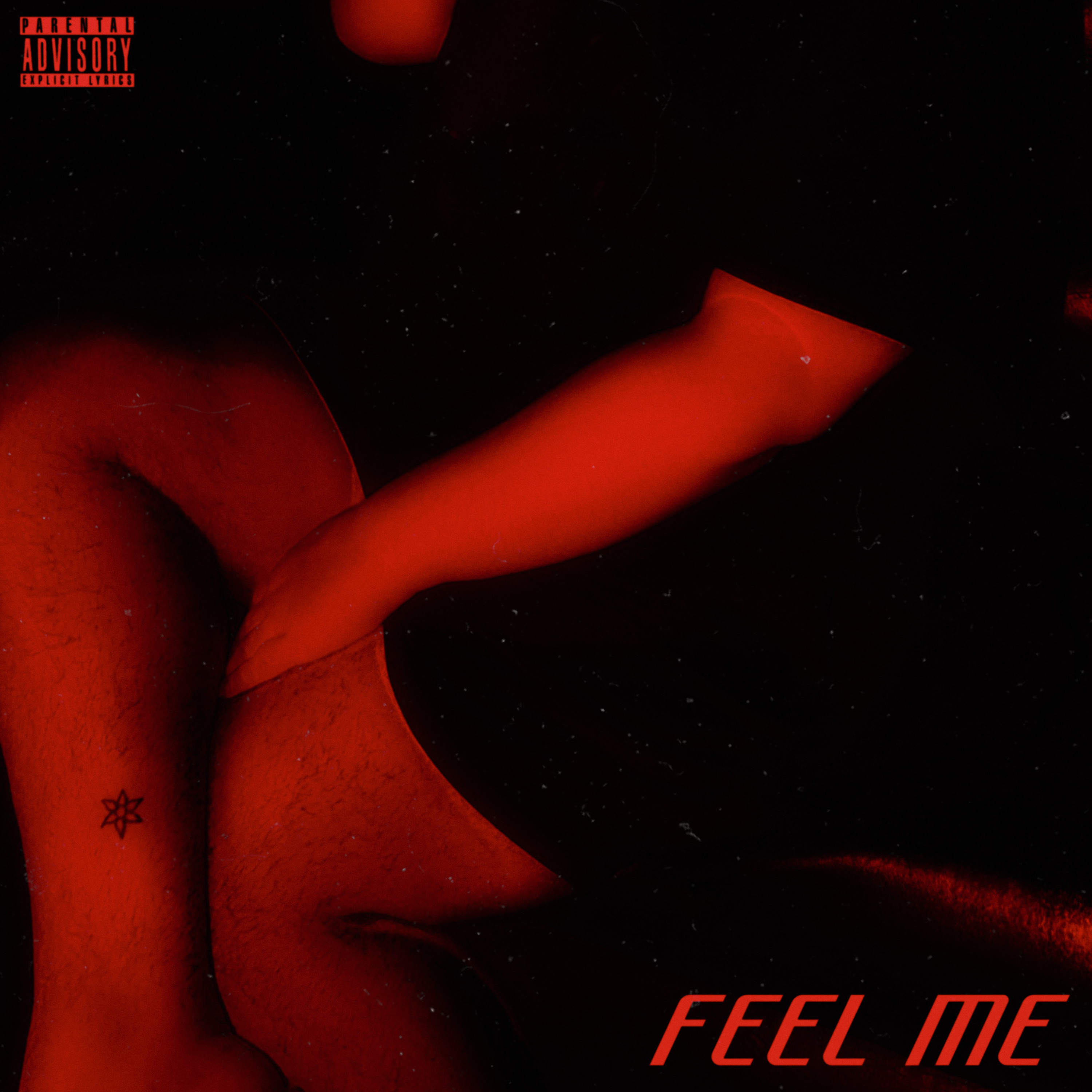 FEEL ME by louis-o cover art