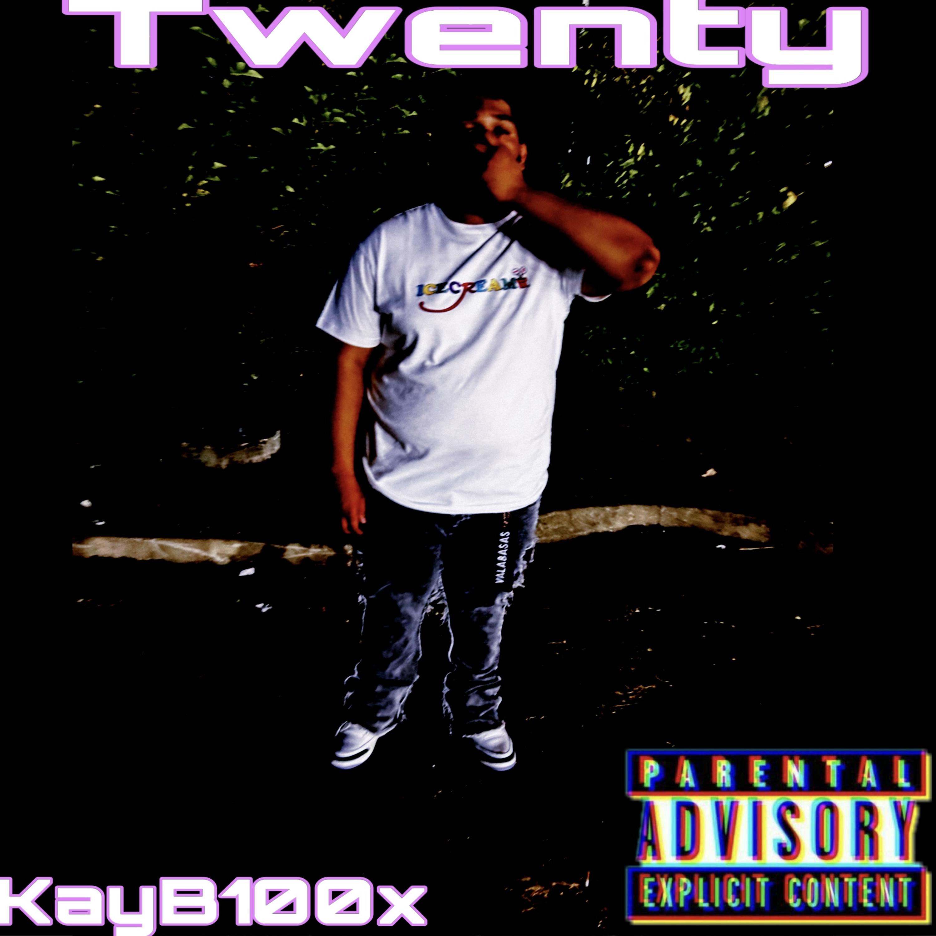 Twenty artwork