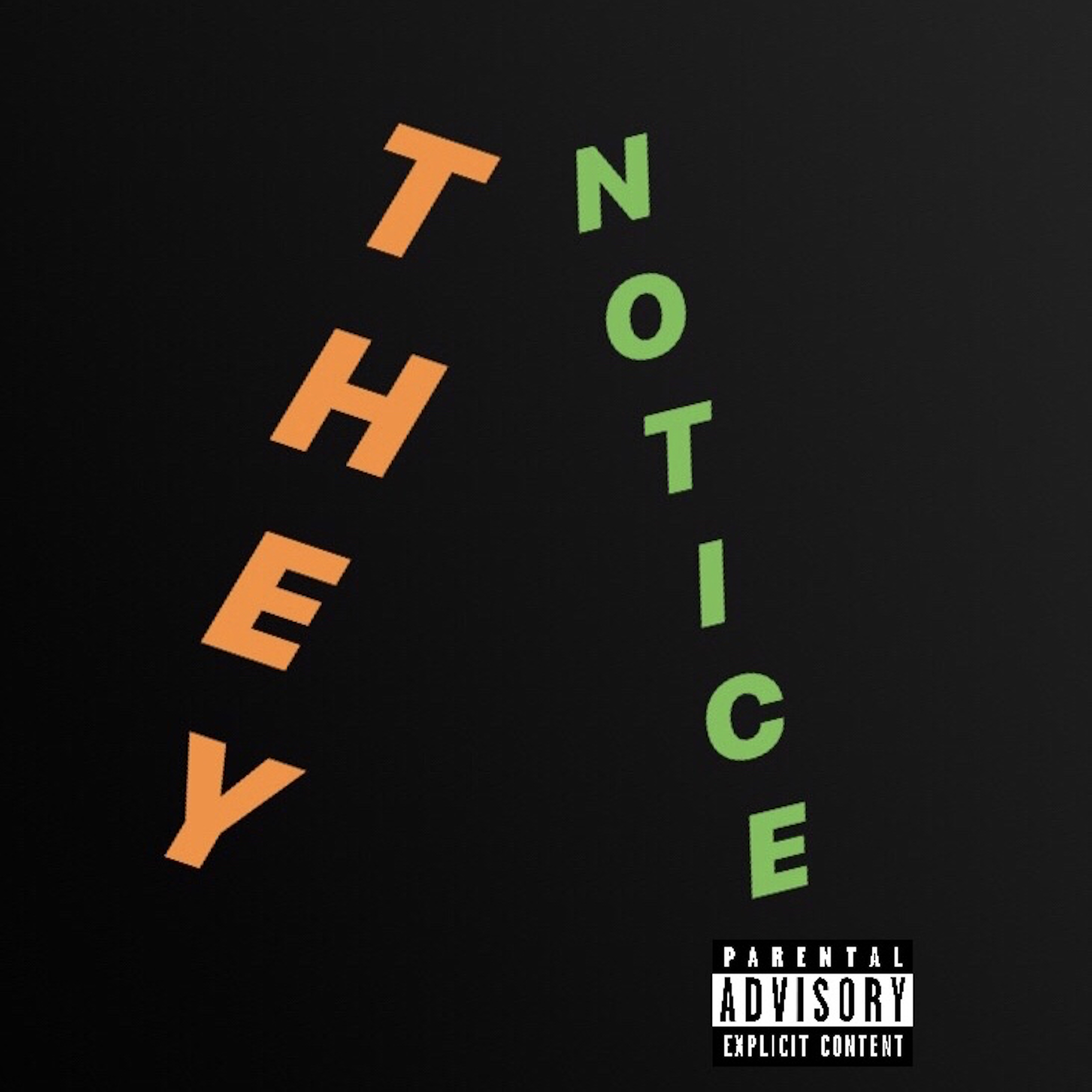 They Notice artwork