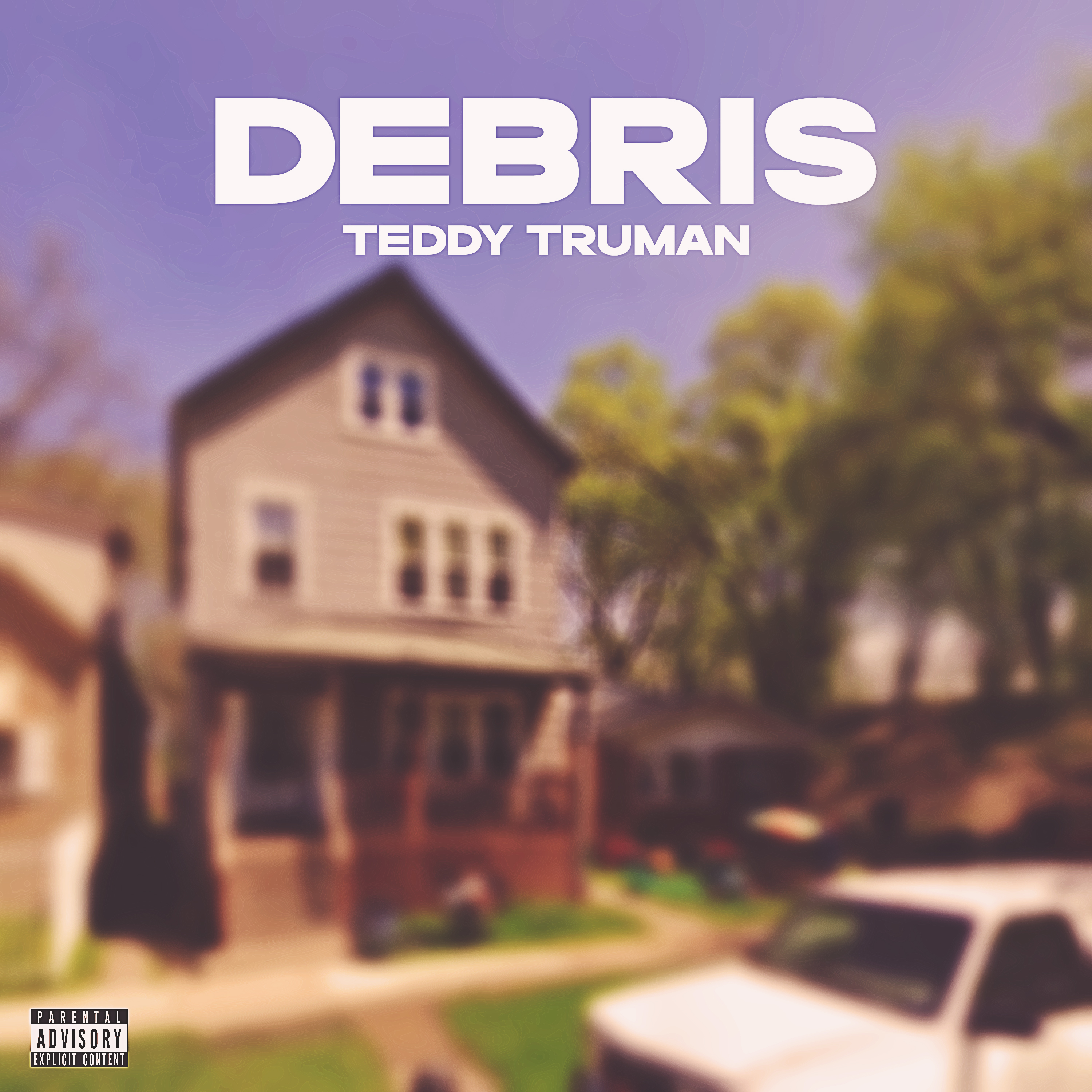 Debris artwork