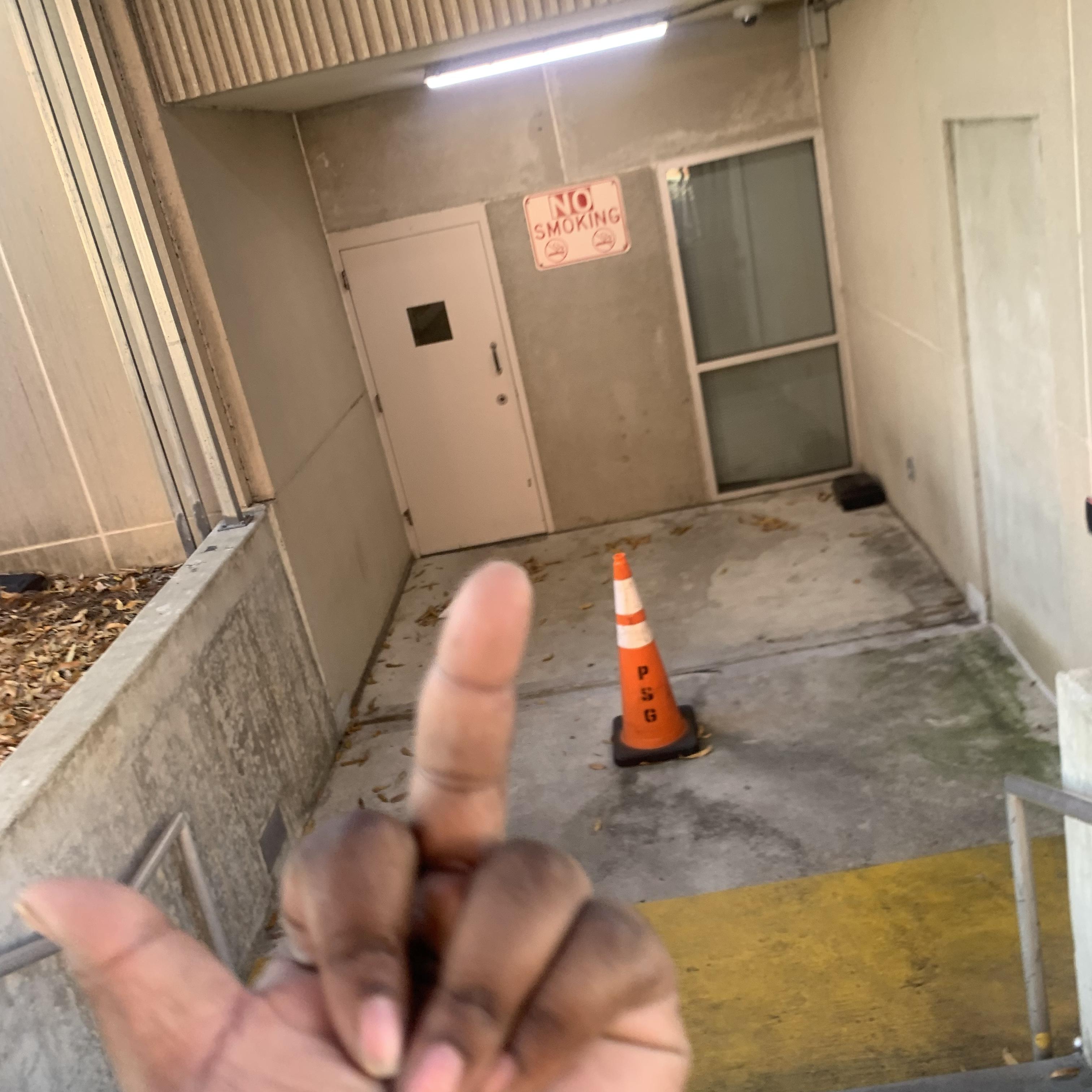 Fuck The Industry artwork