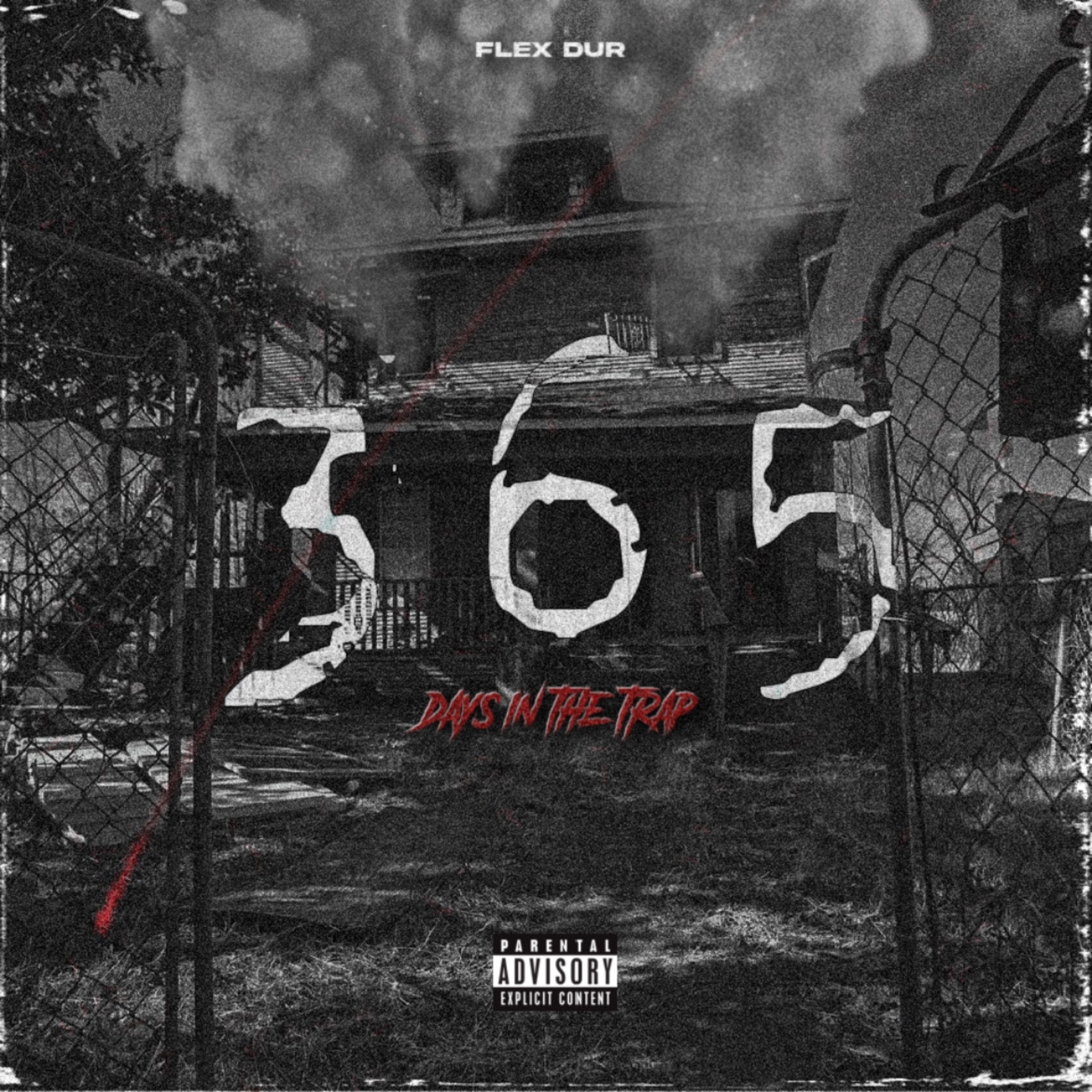 365 DAYS IN THE TRAP artwork