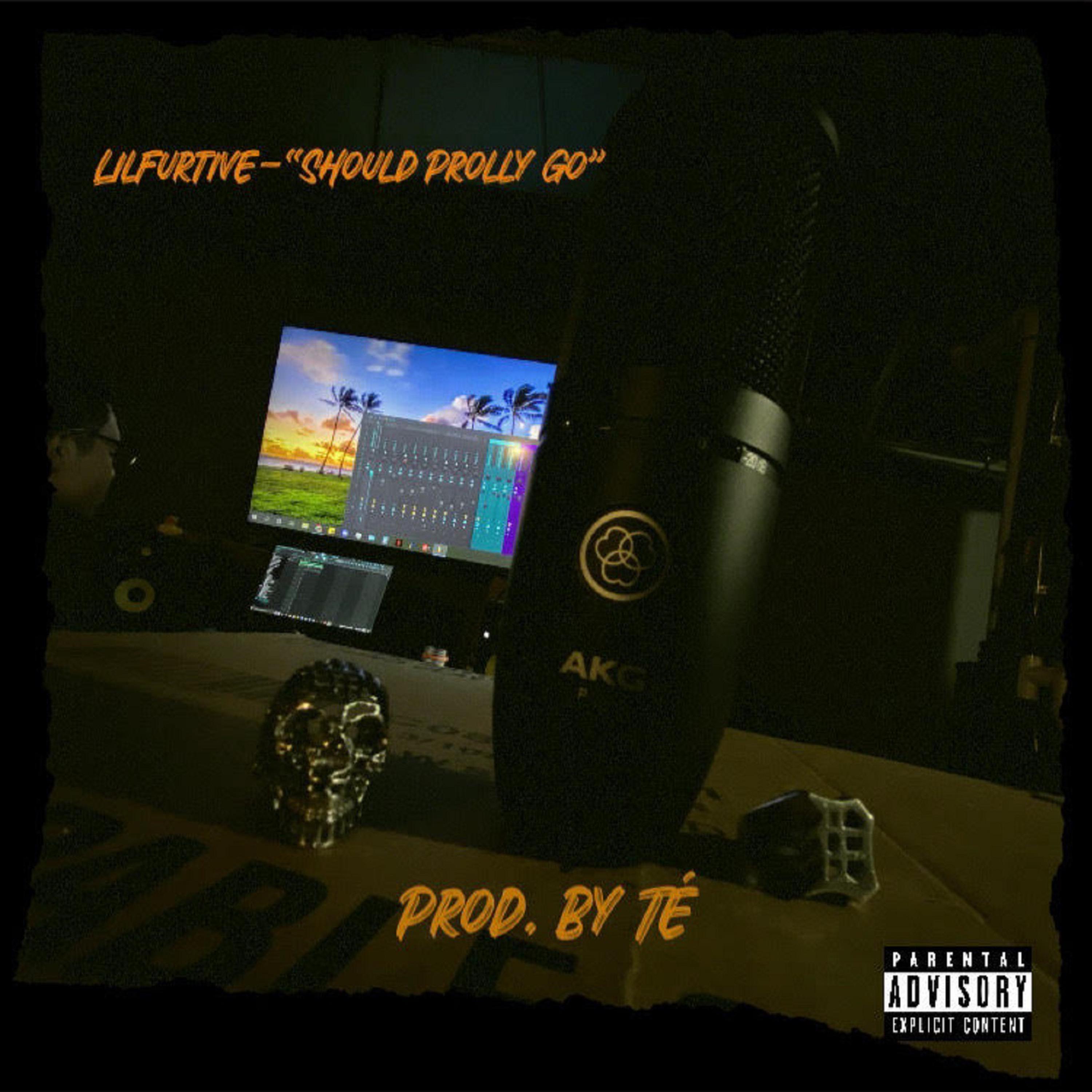 Should Prolly Go artwork