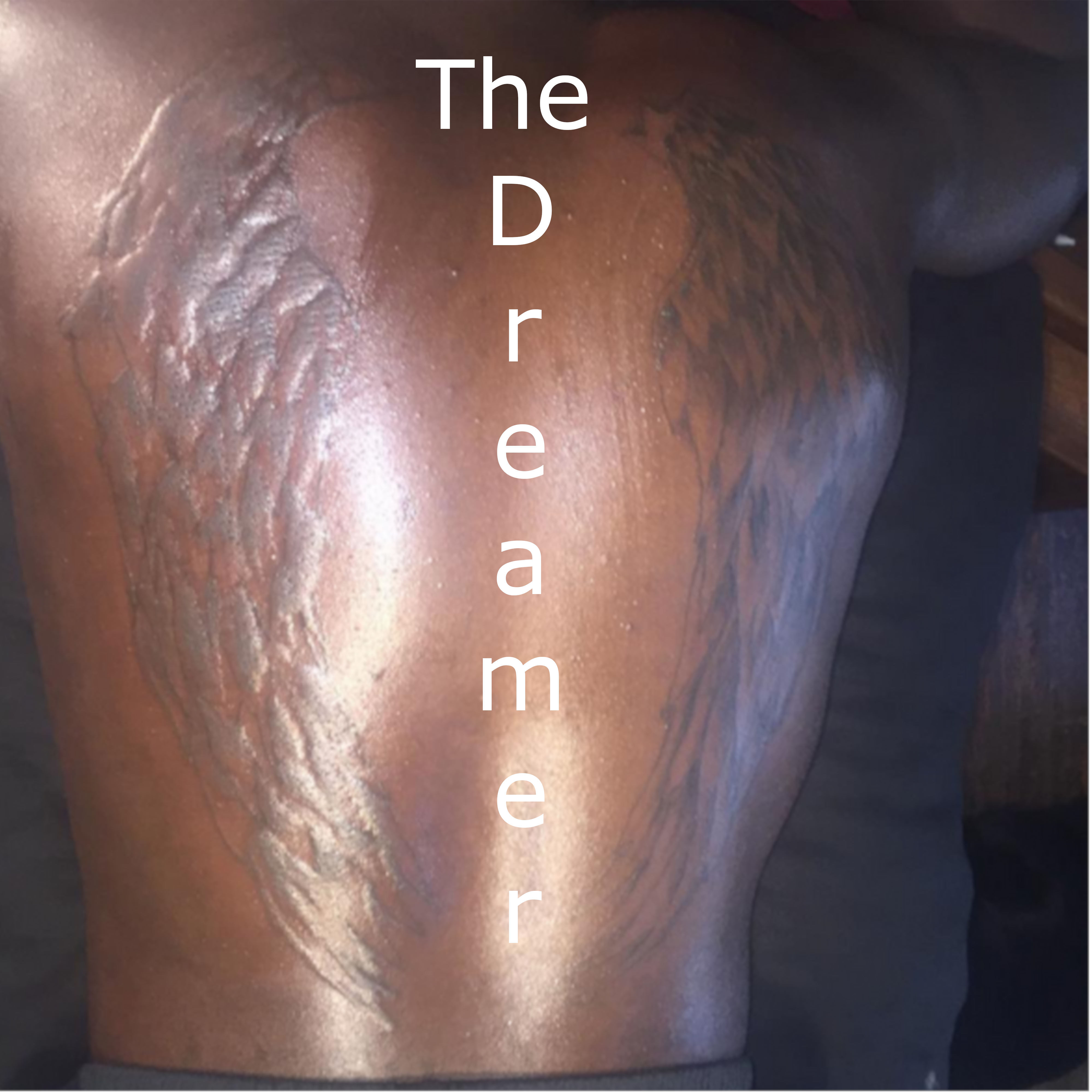 The Dreamer by Mishuba cover art