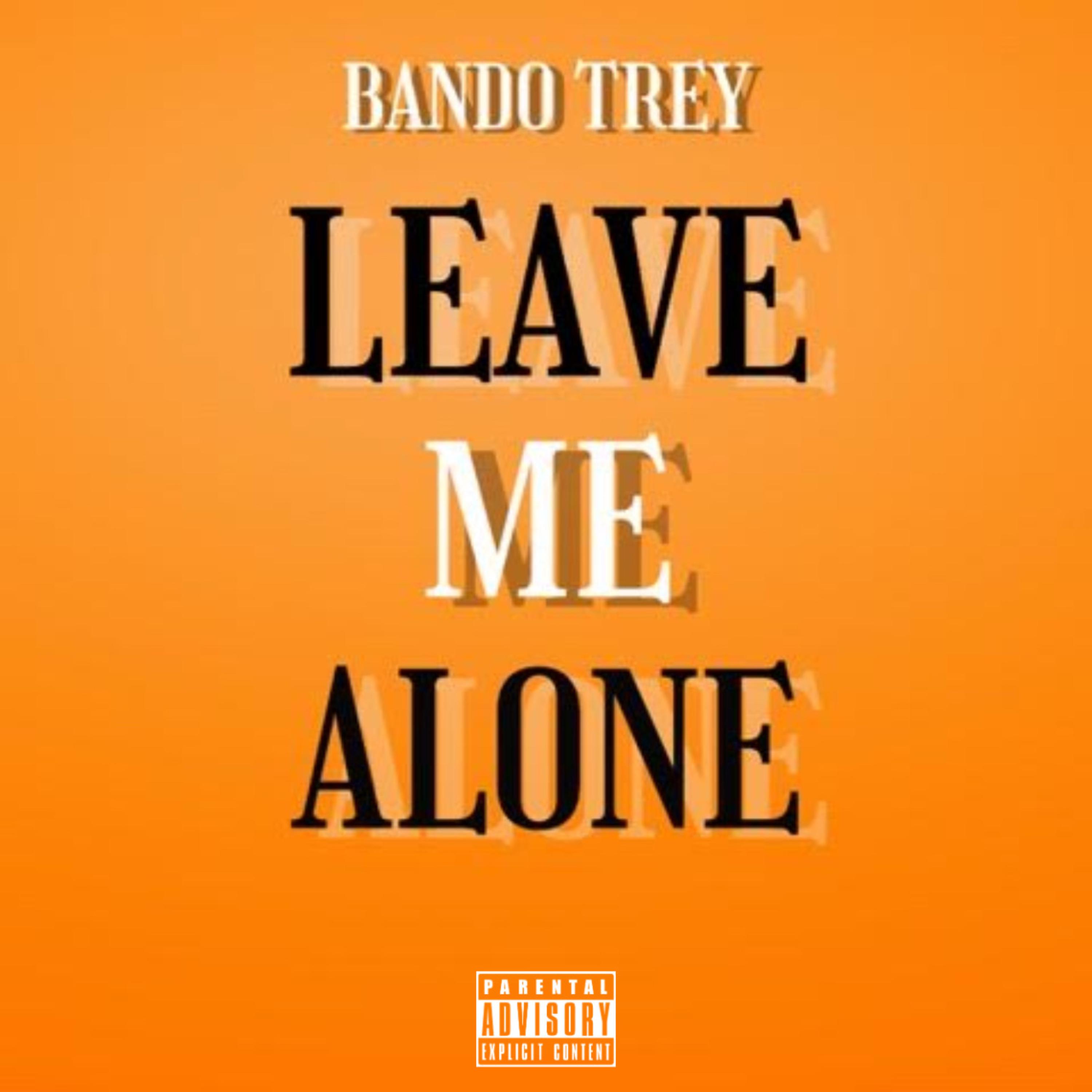 Leave Me Alone artwork
