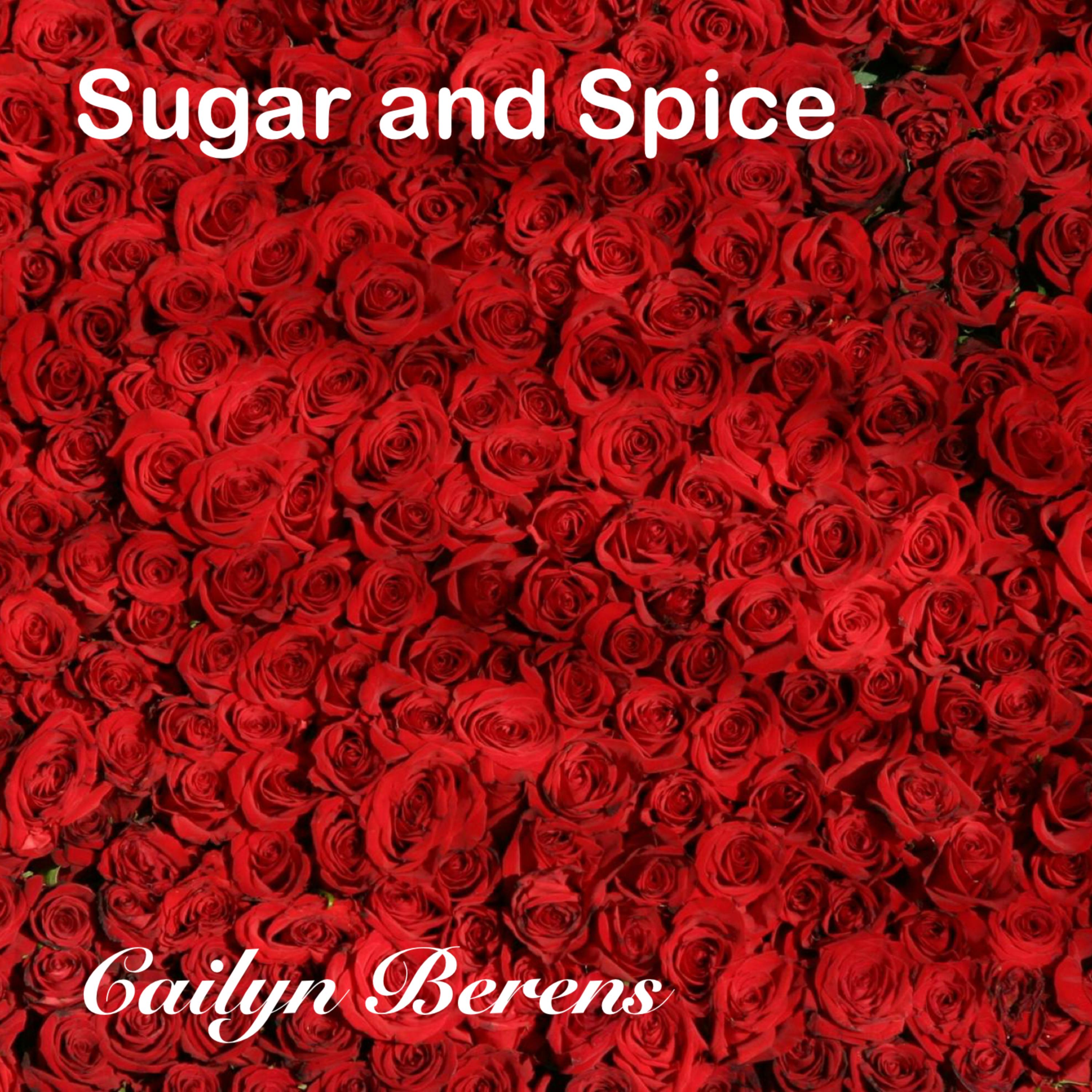 Sugar And Spice artwork