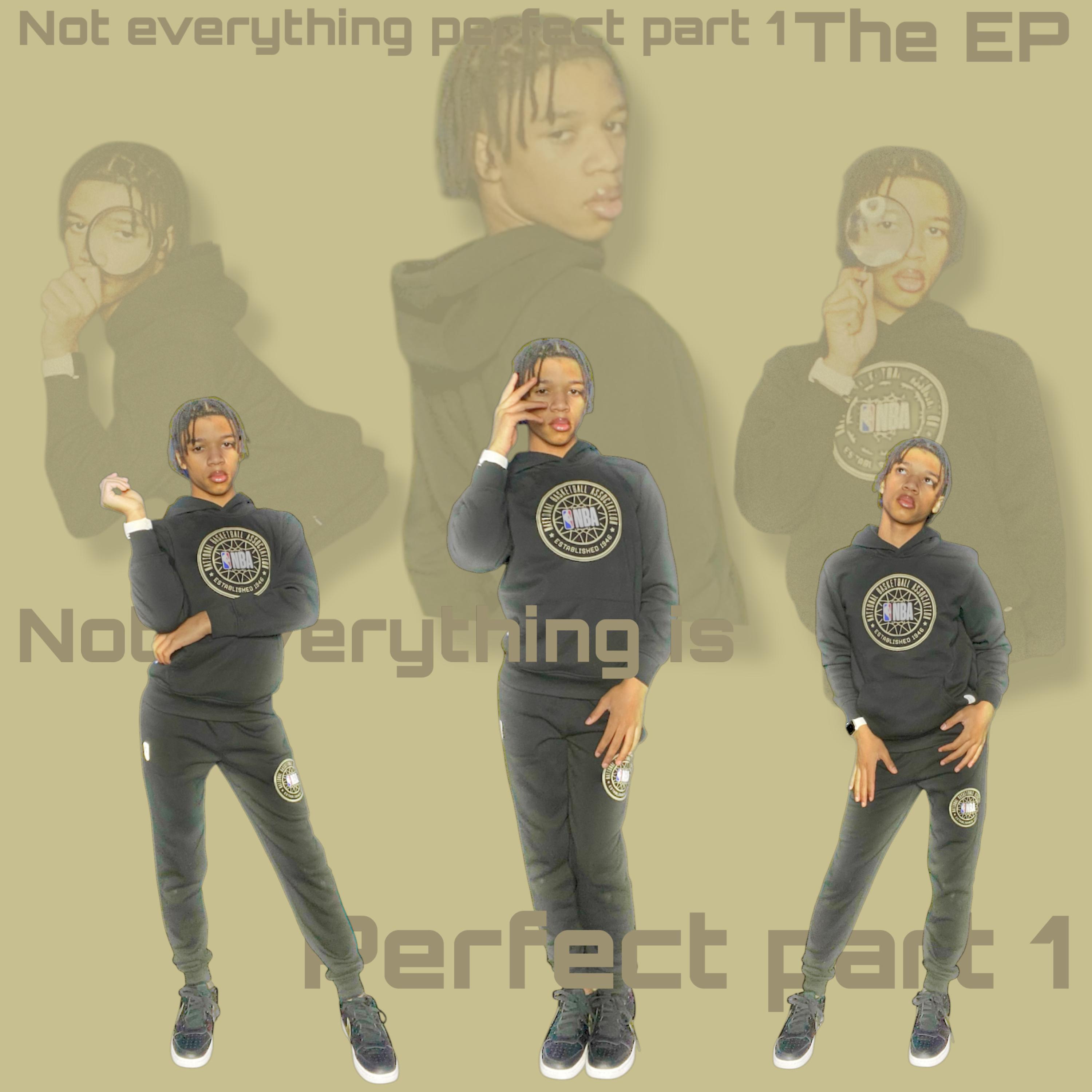 Not Everything Is Perfect Part 1 artwork