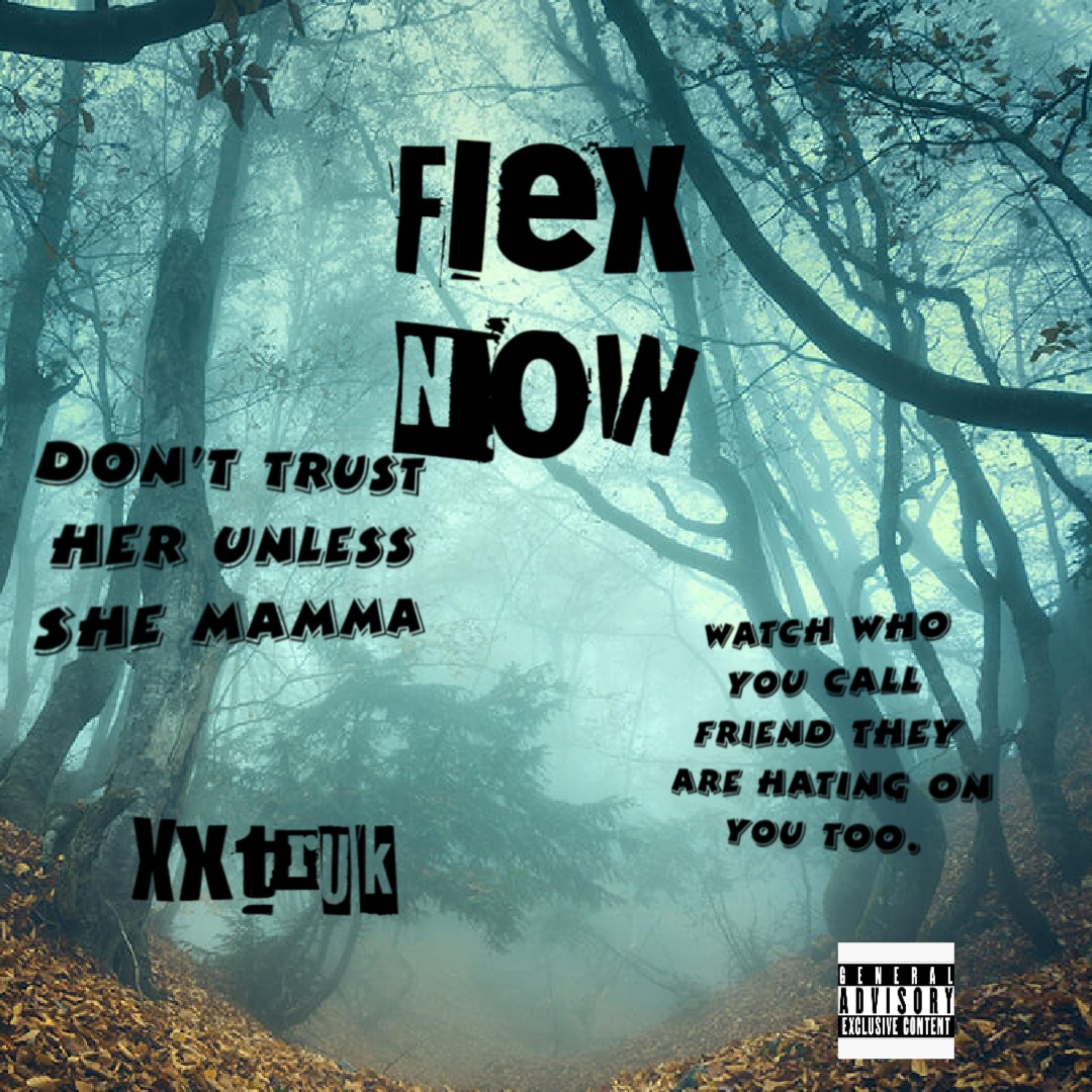 Flex Now artwork