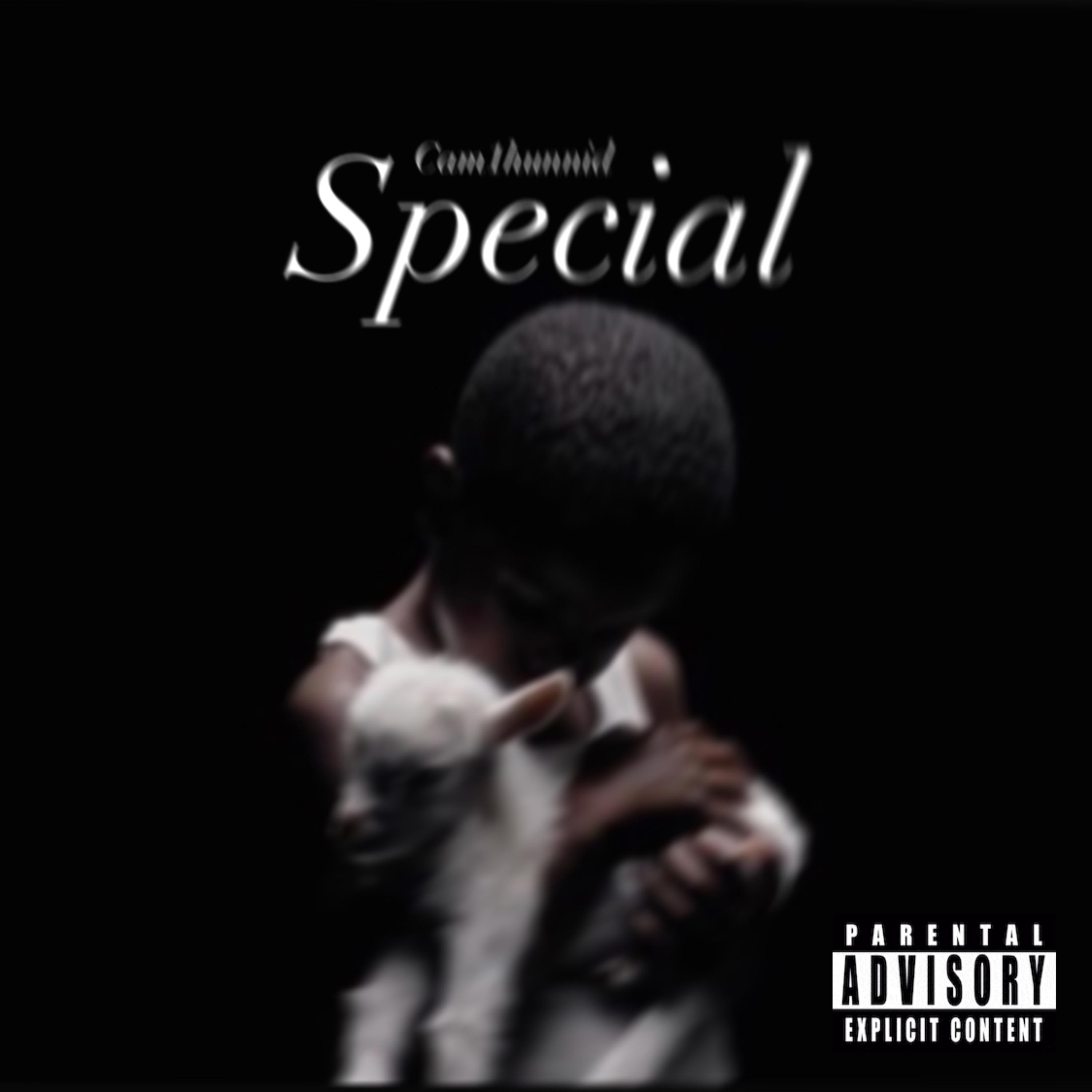 Special artwork