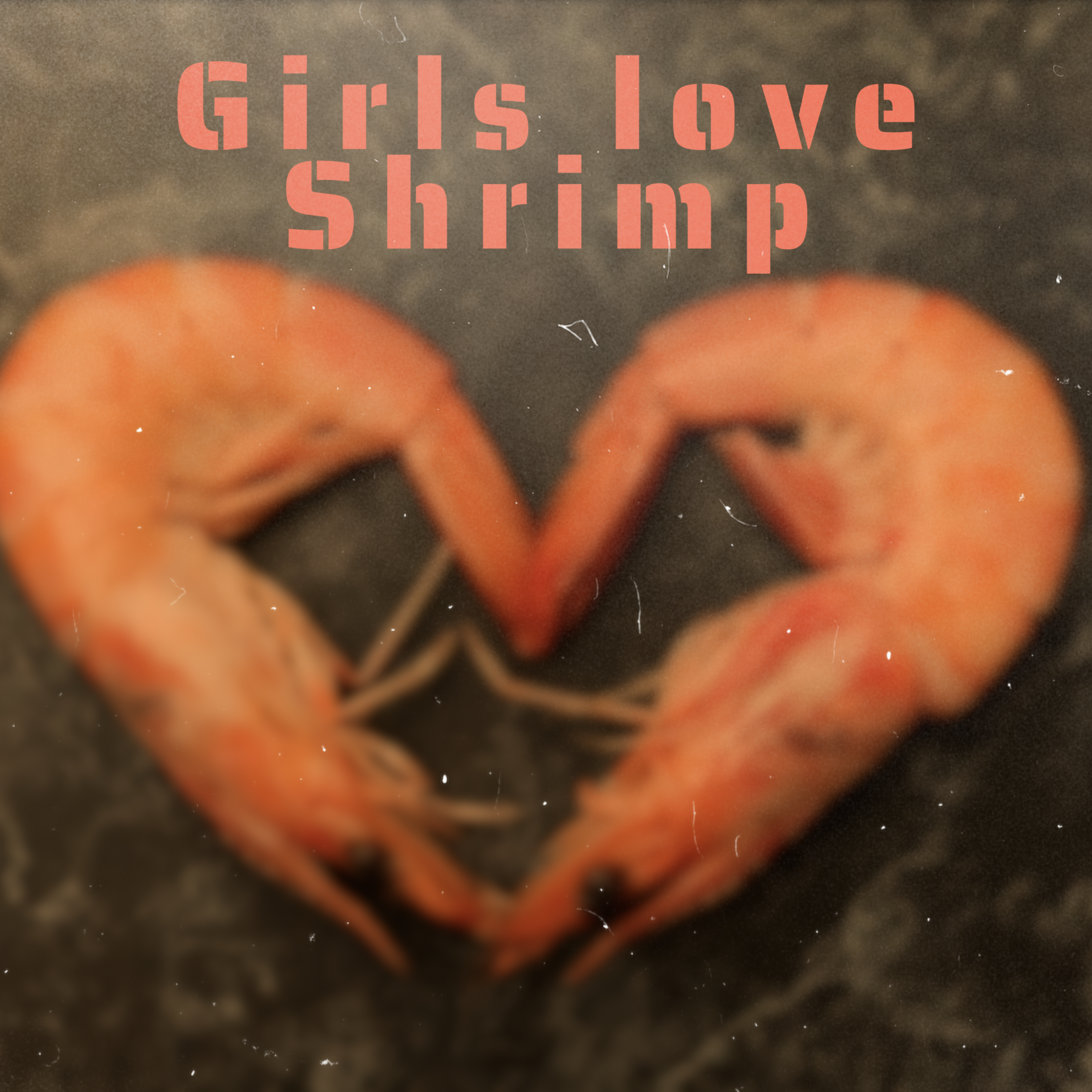 Girls Love Shrimp artwork