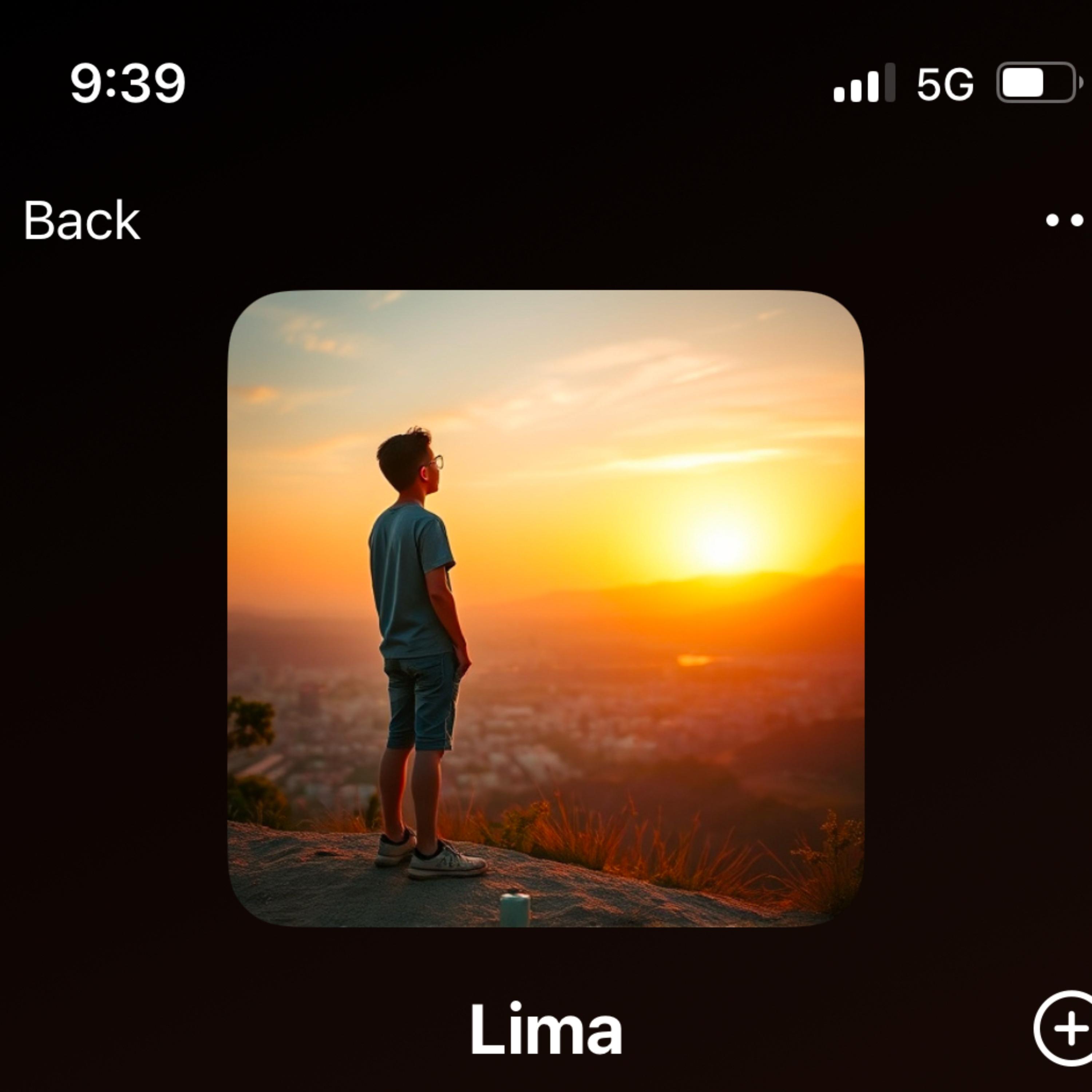 Lima artwork
