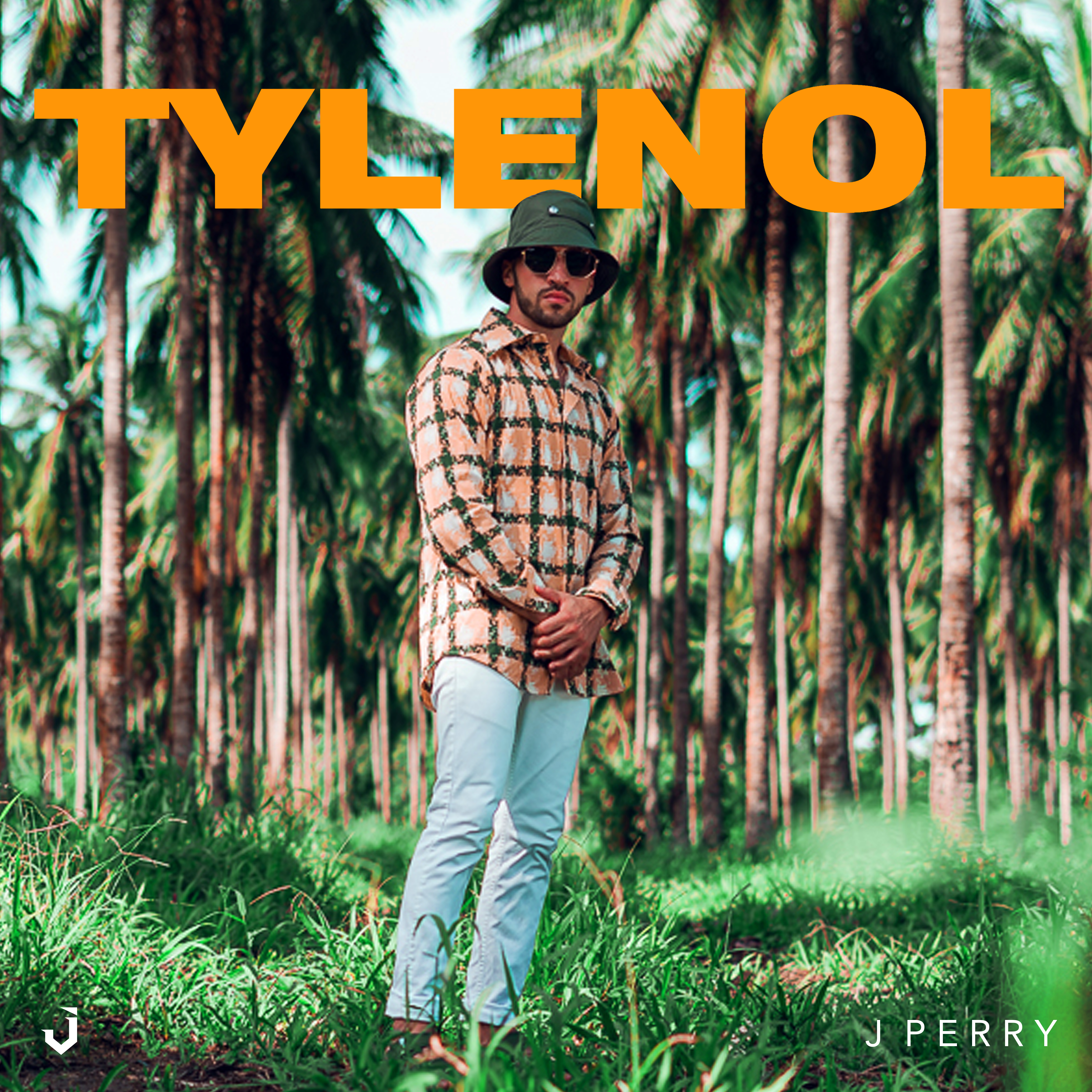 Tylenol artwork
