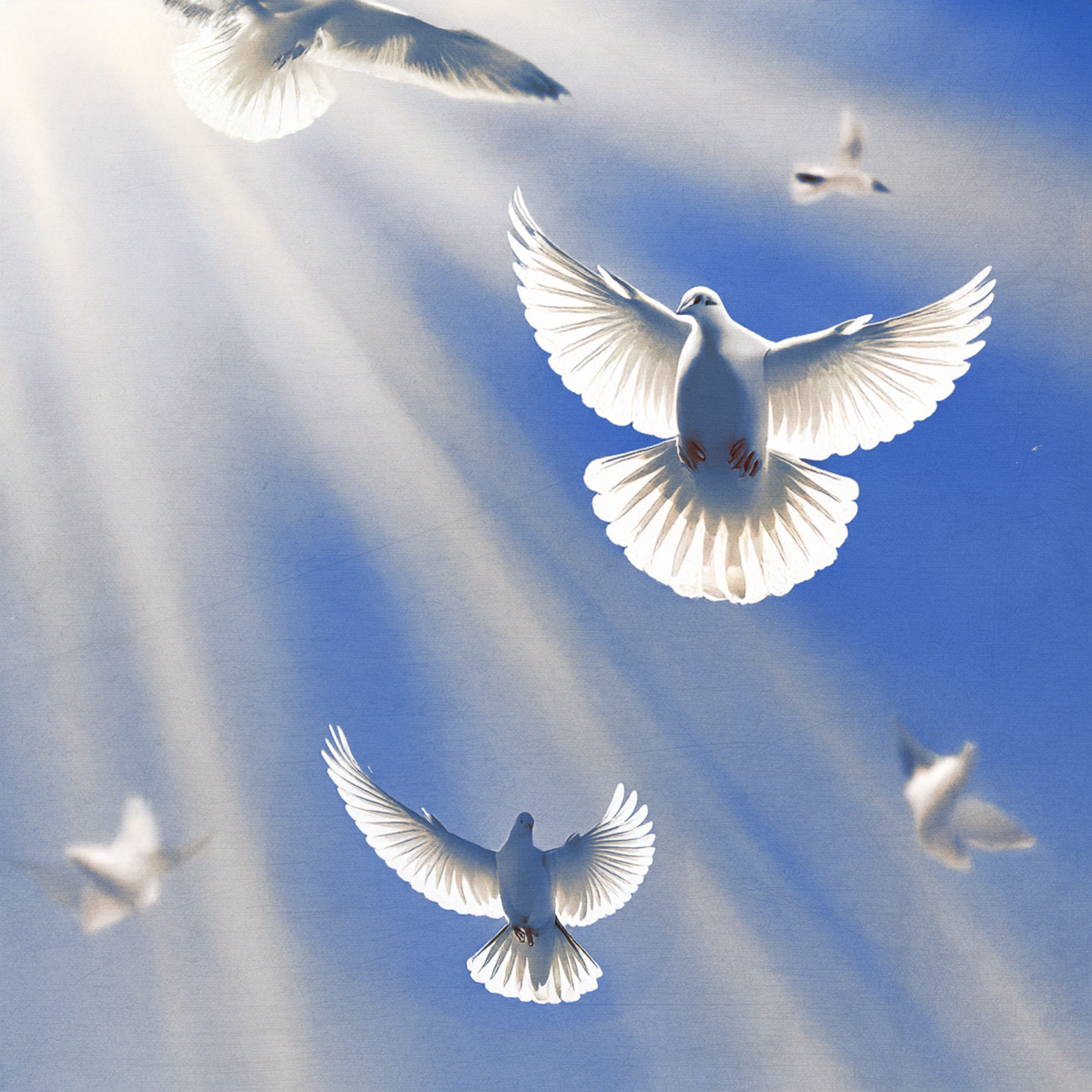 In Loving Memory artwork