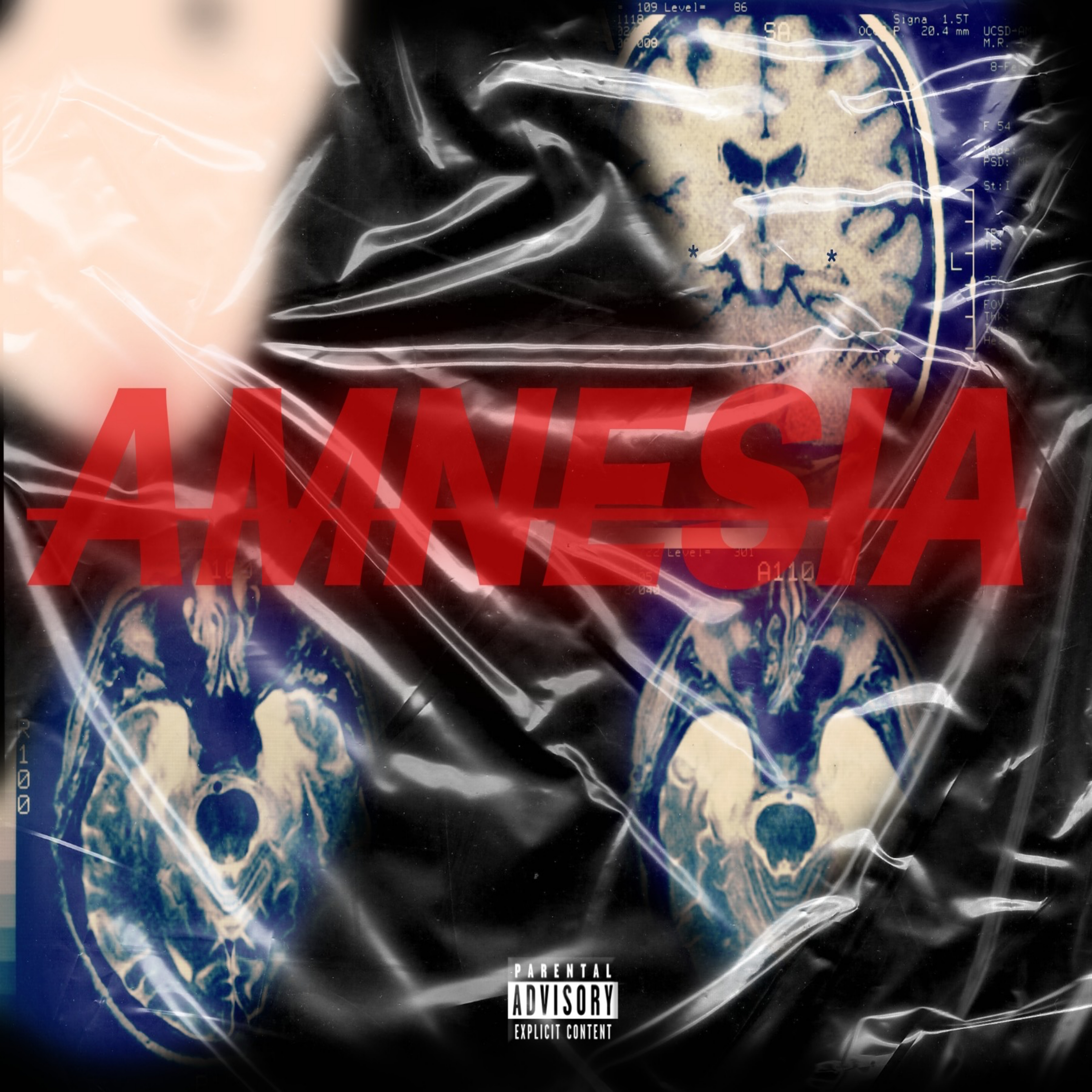 AMNE$IA artwork