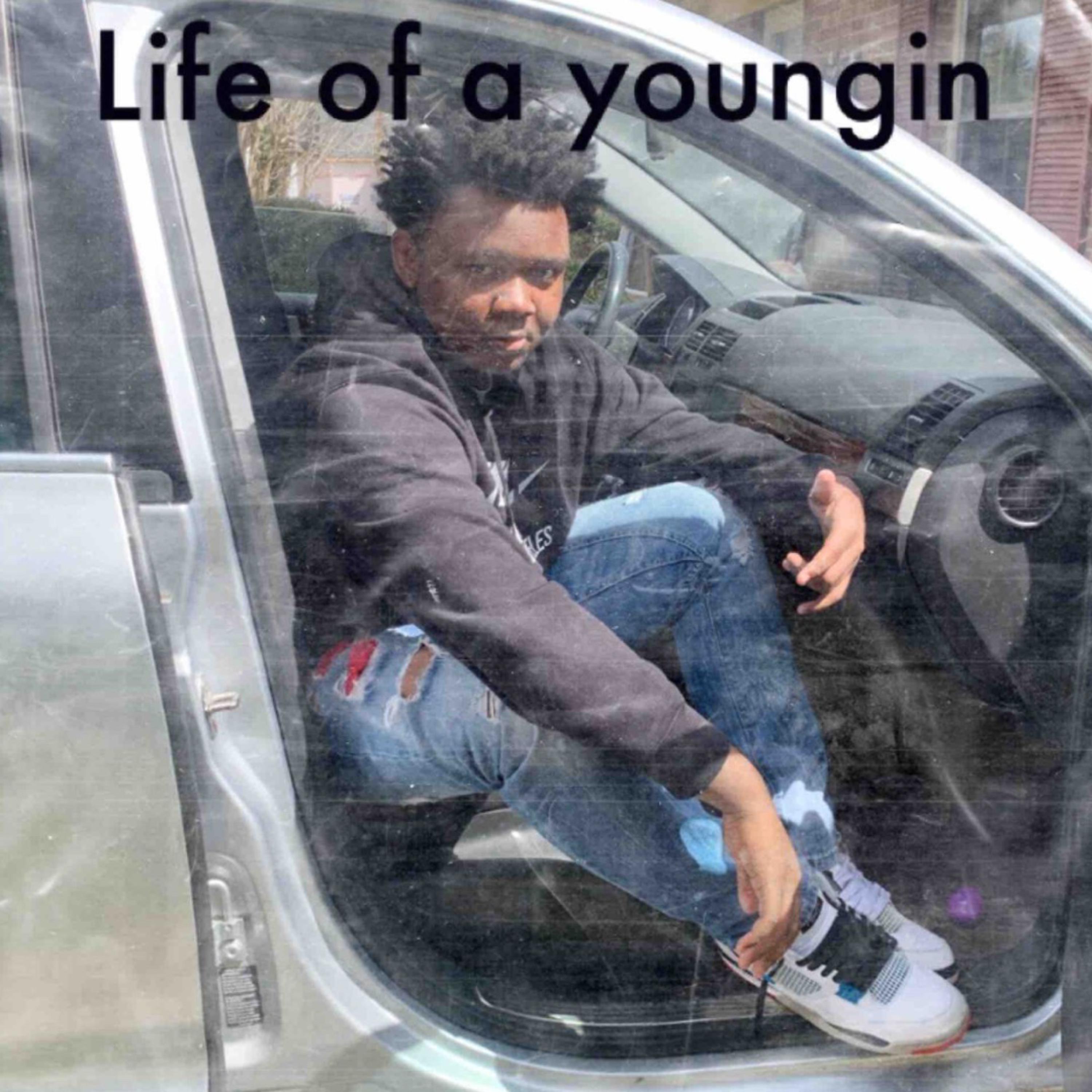 Life Of A Youngin by Youngashad cover art