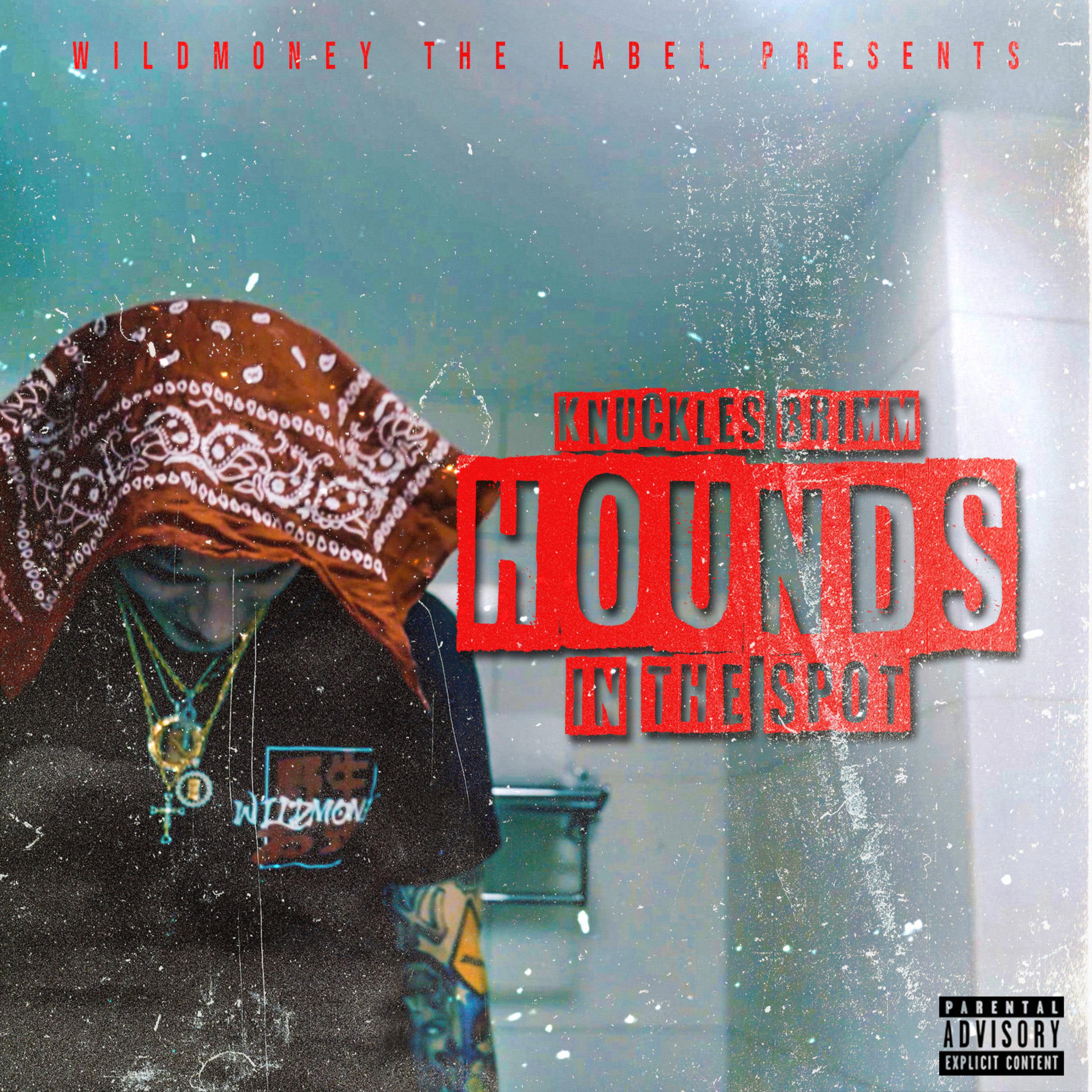 Hounds In The Spot artwork