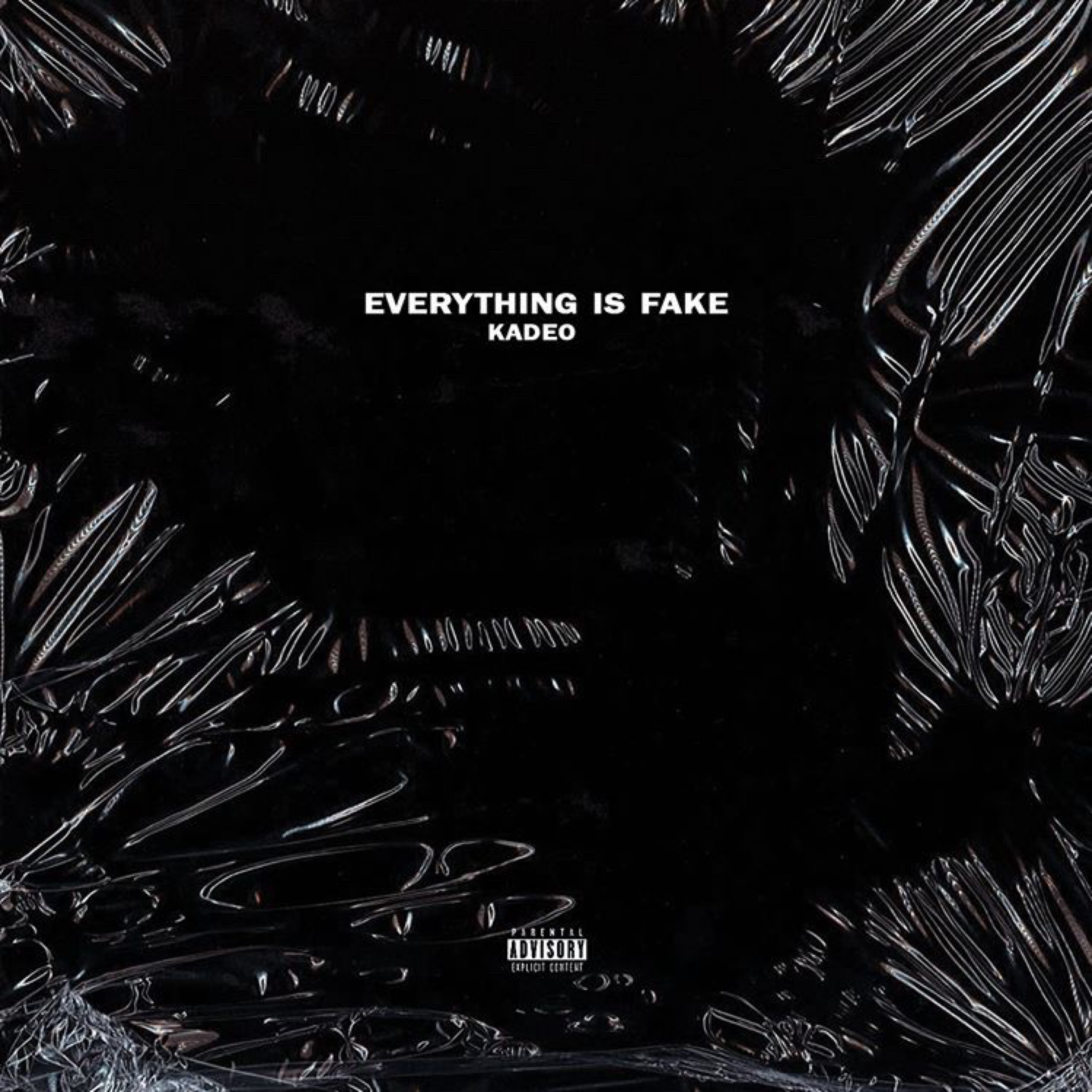 Everything Is Fake artwork