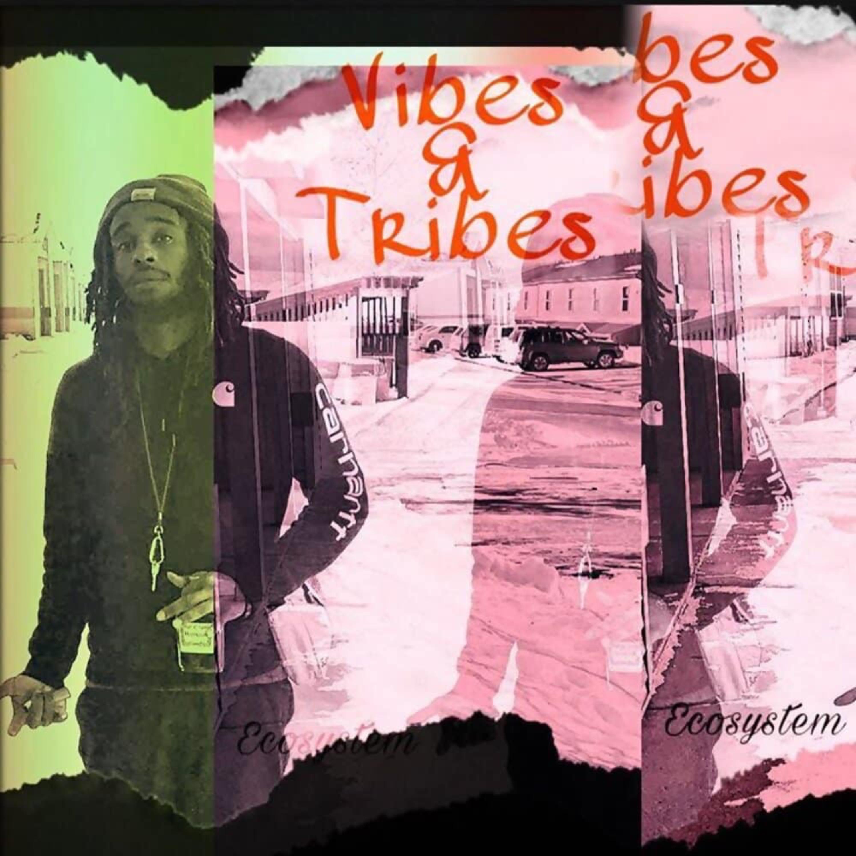 VIBES & TRIBES artwork