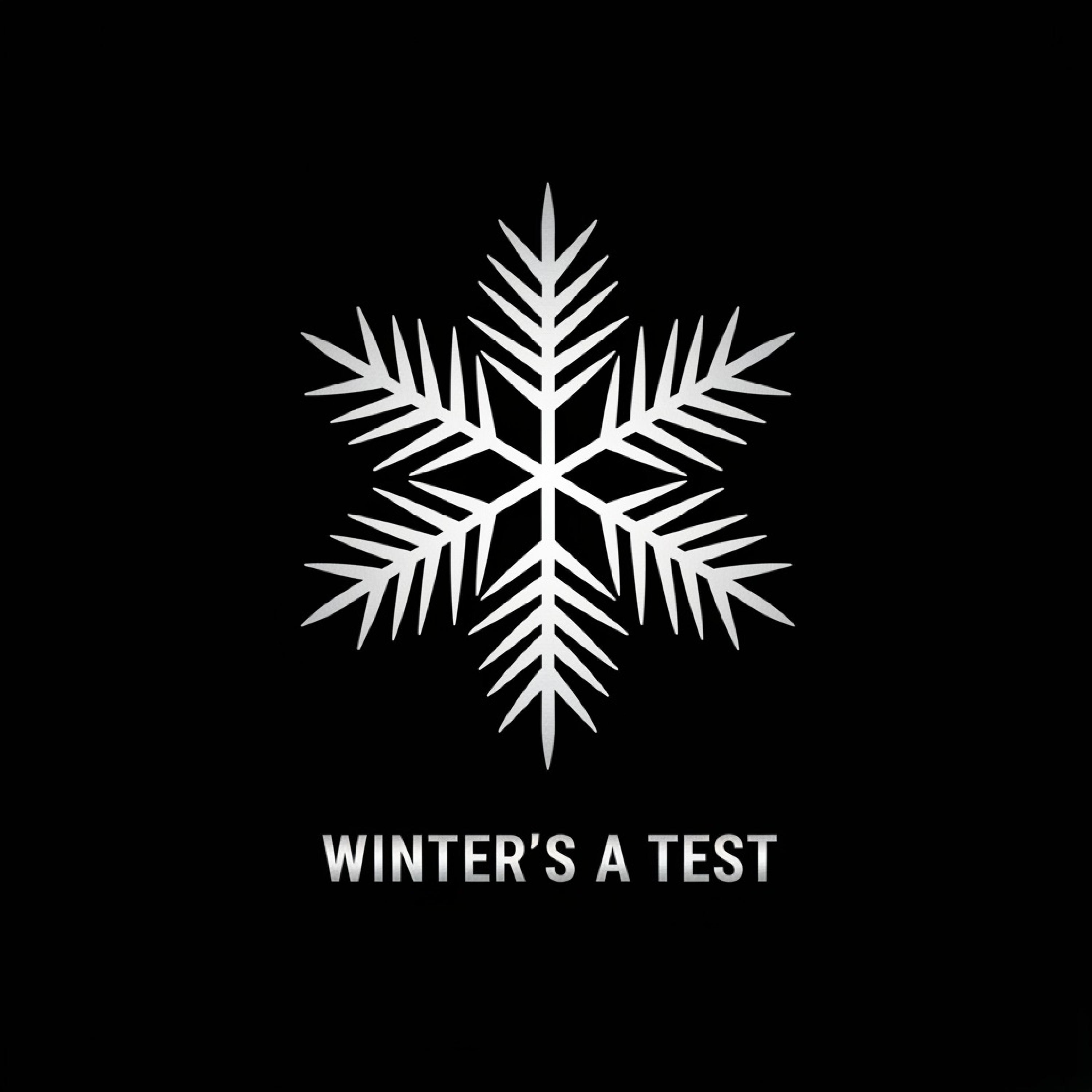 WINTER'S A TEST artwork