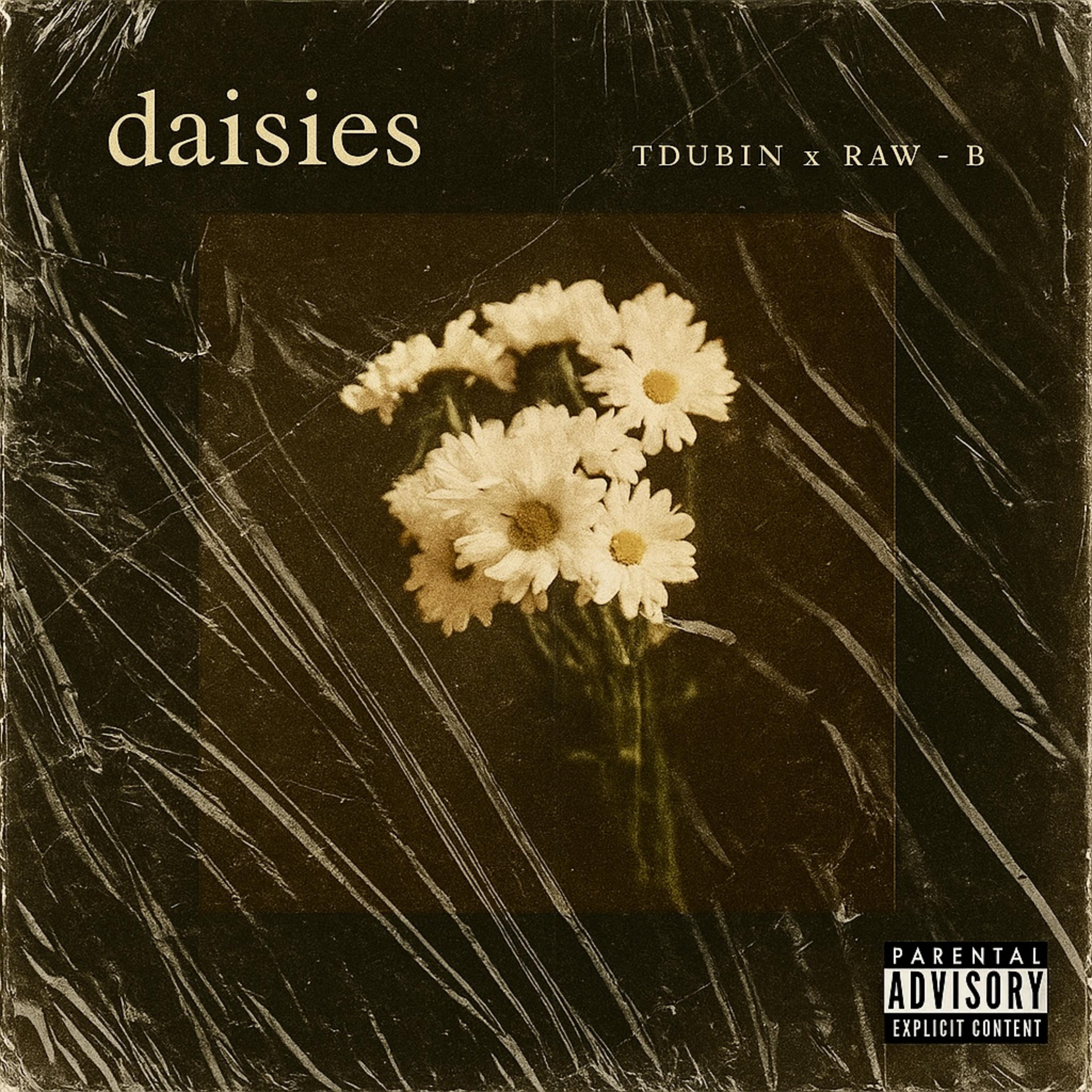 Daisies artwork