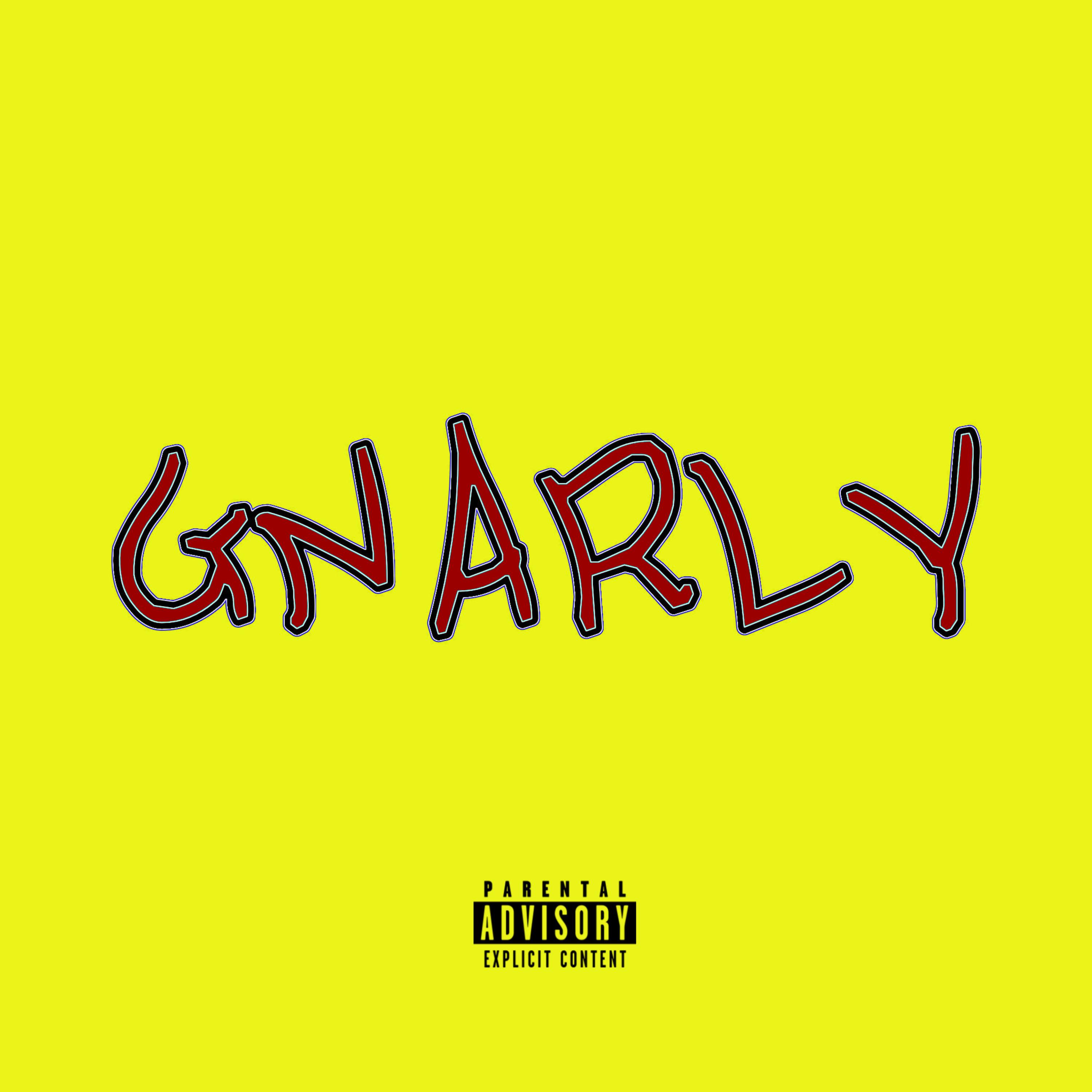 GNARLY artwork