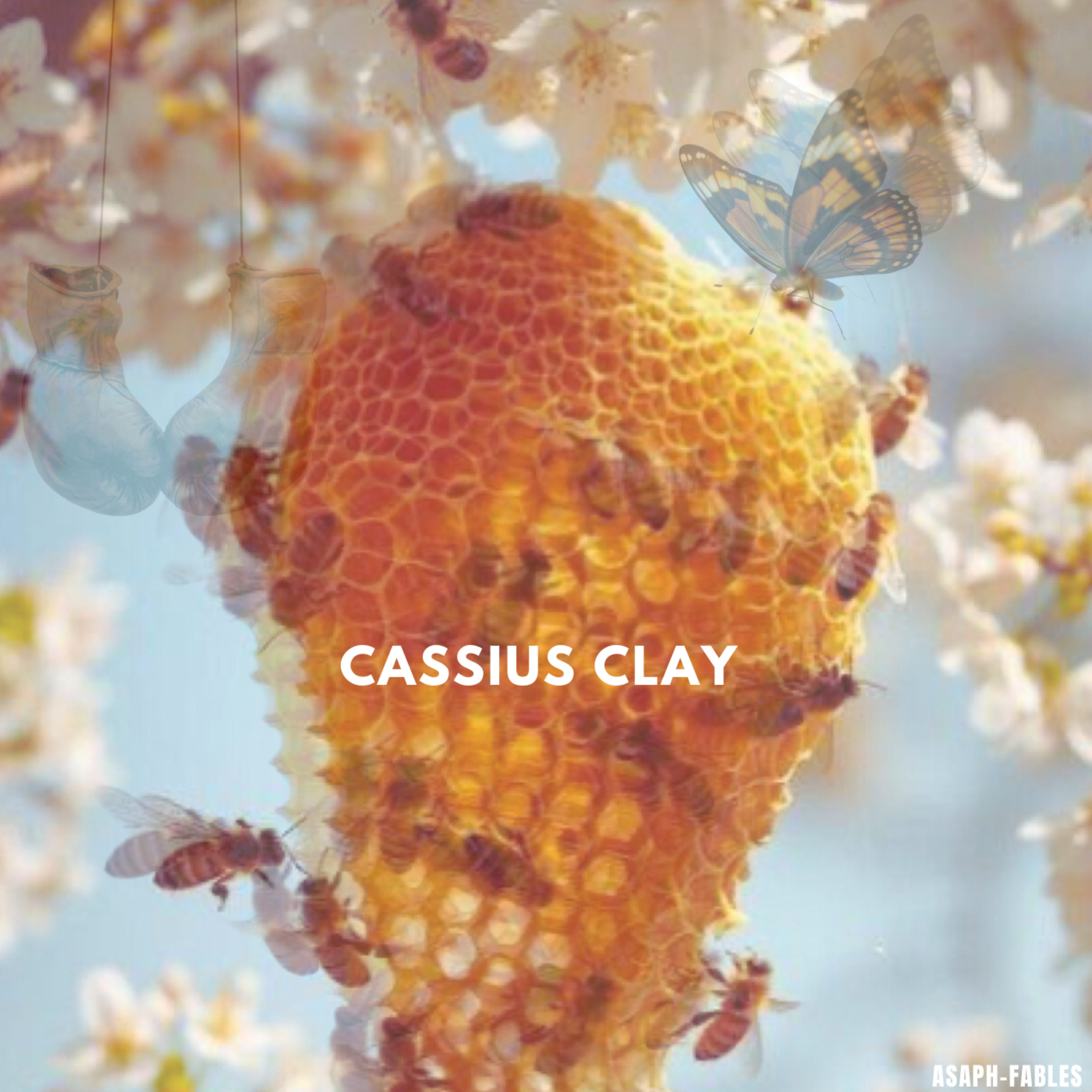 CASSIUS CLAY artwork