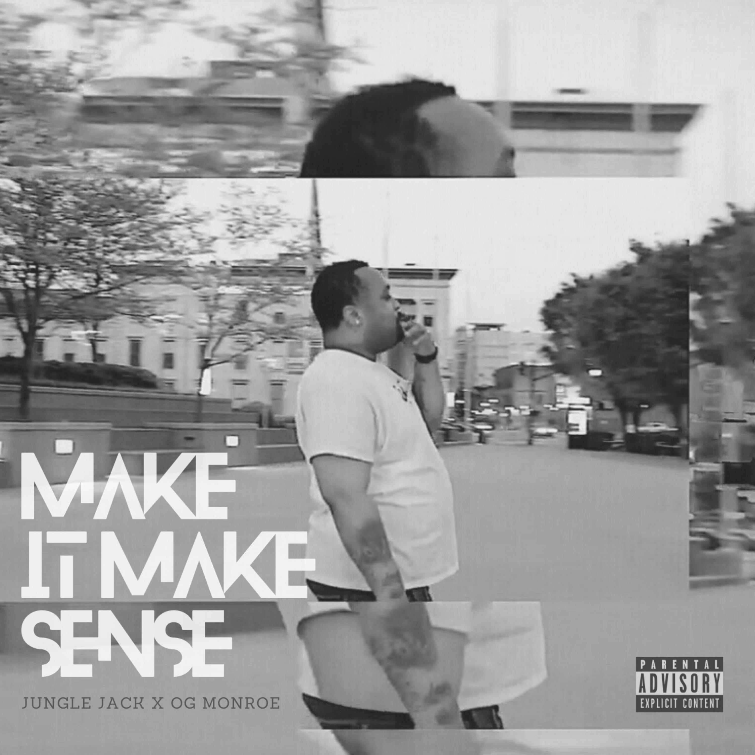 Make It Make Sense by Jungle Jack cover art