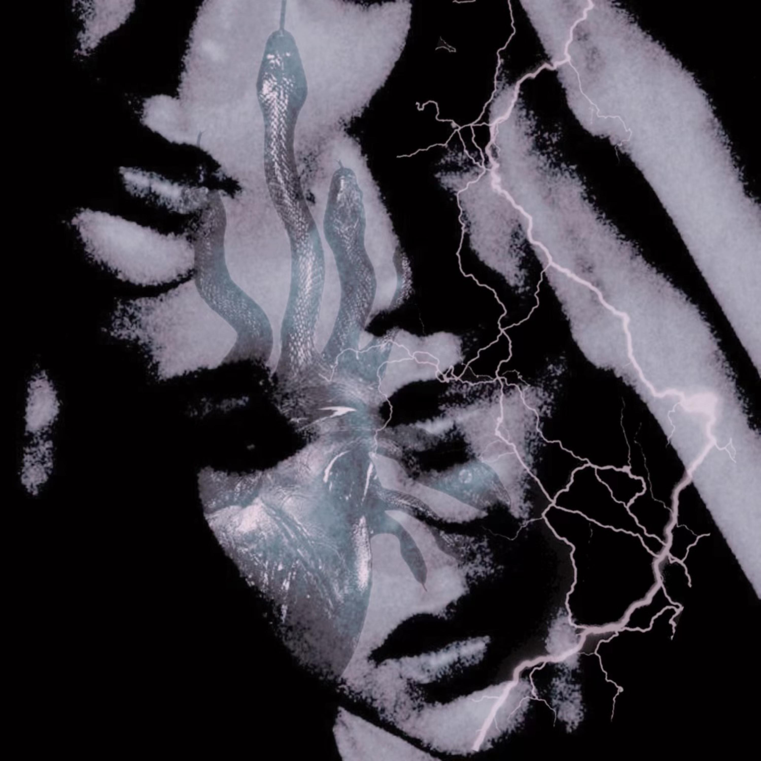 Excuse my language (1) artwork