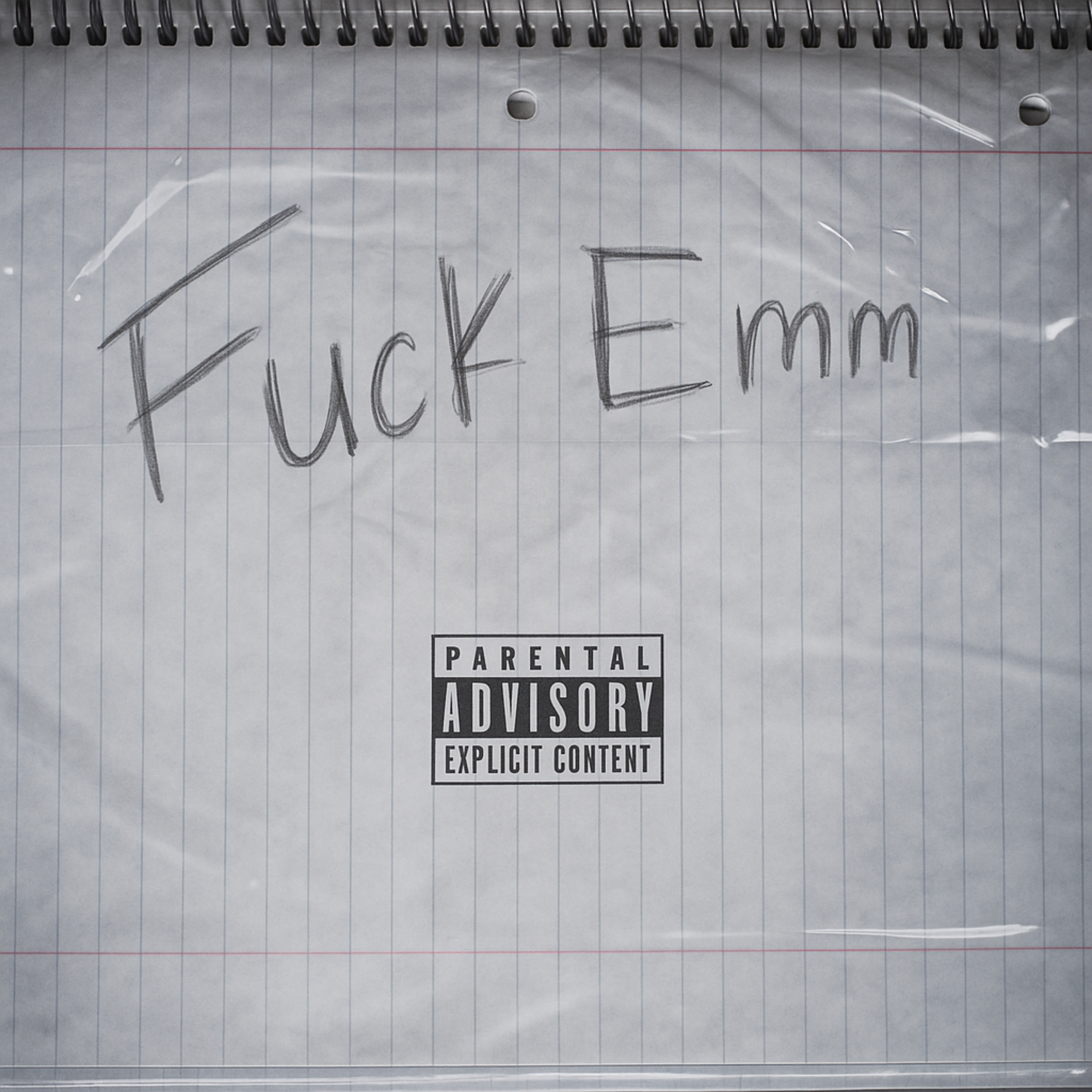 Fuck Emm artwork