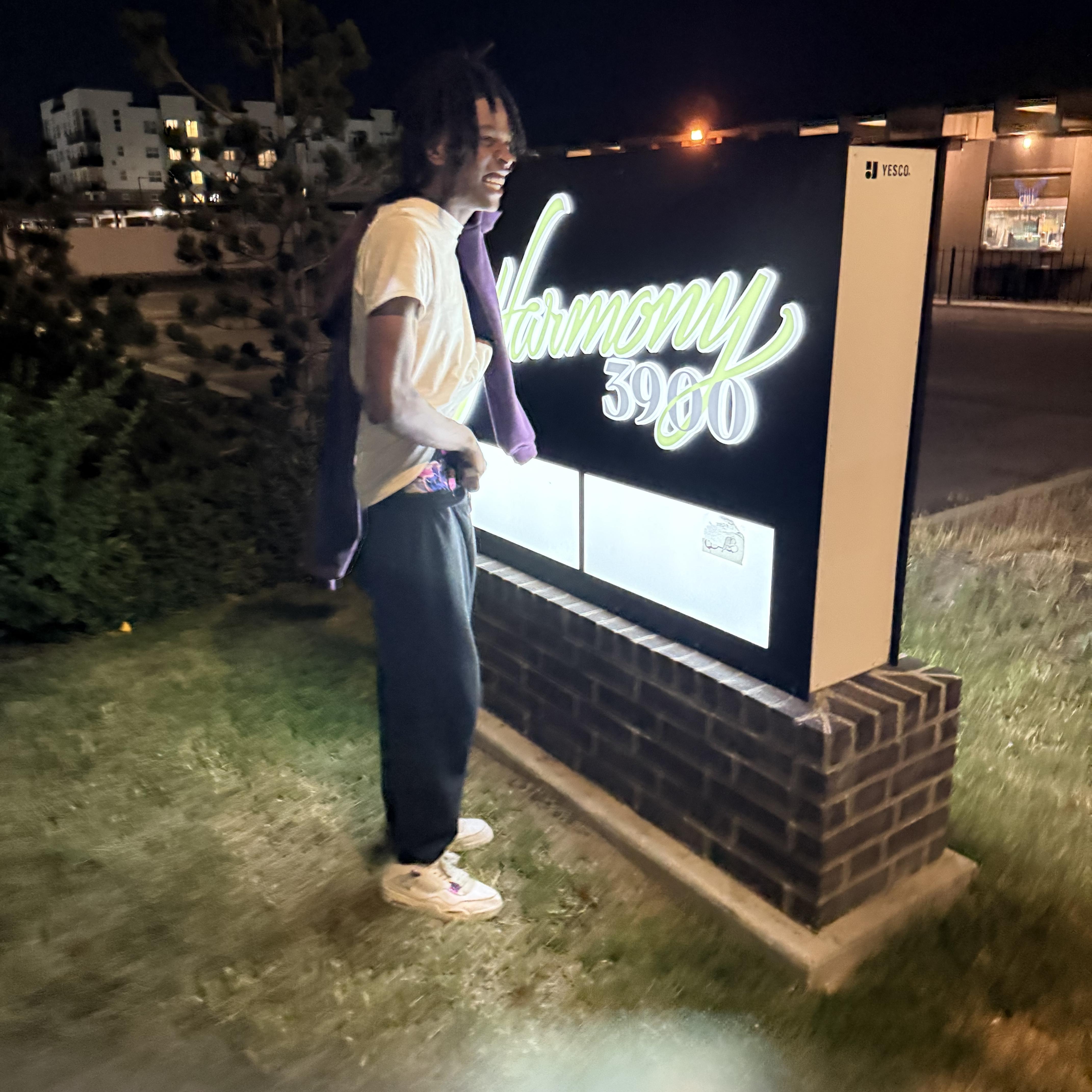 GO CITIZEN artwork
